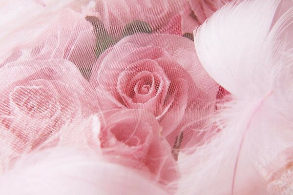 Bouquet of pink roses with feathers