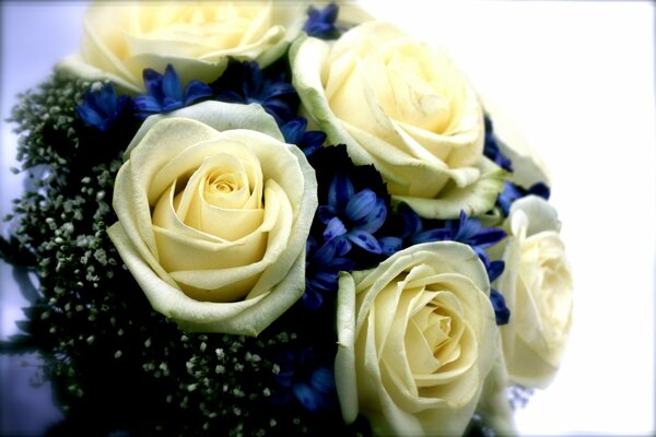 Hermoso ramo de rosas con flores azules