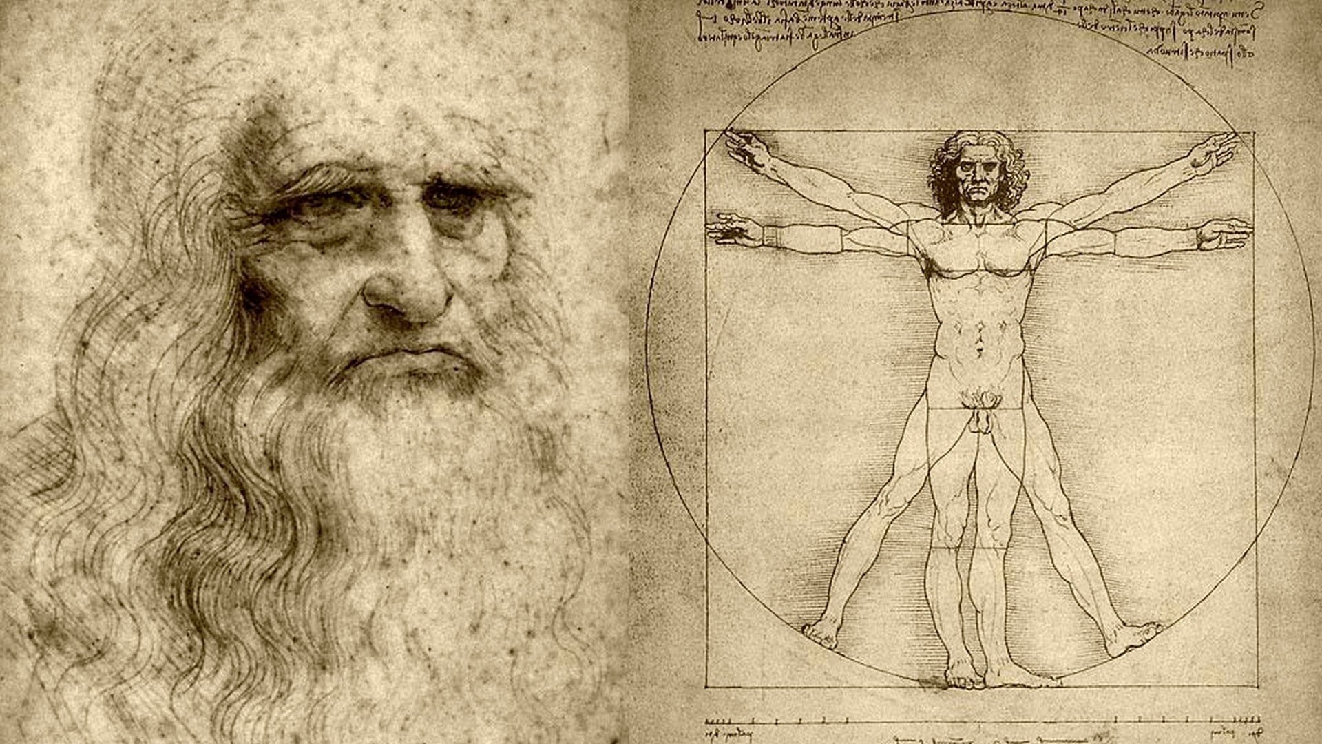 leonardo da vinci trabajo artista cuaderno moe