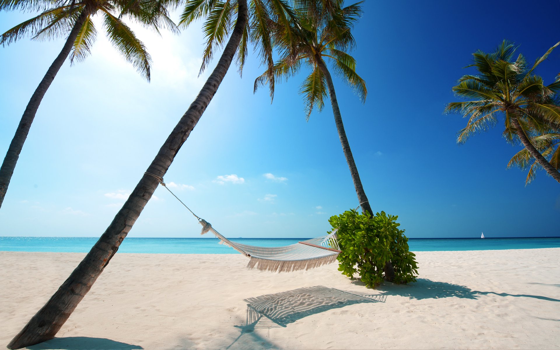 landscapes coast beaches sand morning sky sun light sun rays summer heat palm trees palm tree tree plant plants water sea ocean rest relax hammock