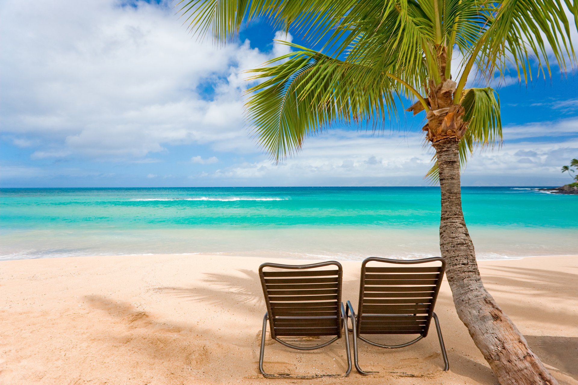 sommer inseln hitze erholung stimmung landschaften küste strand stühle sessel liegestühle palmen bäume meer wellen wasser ozean