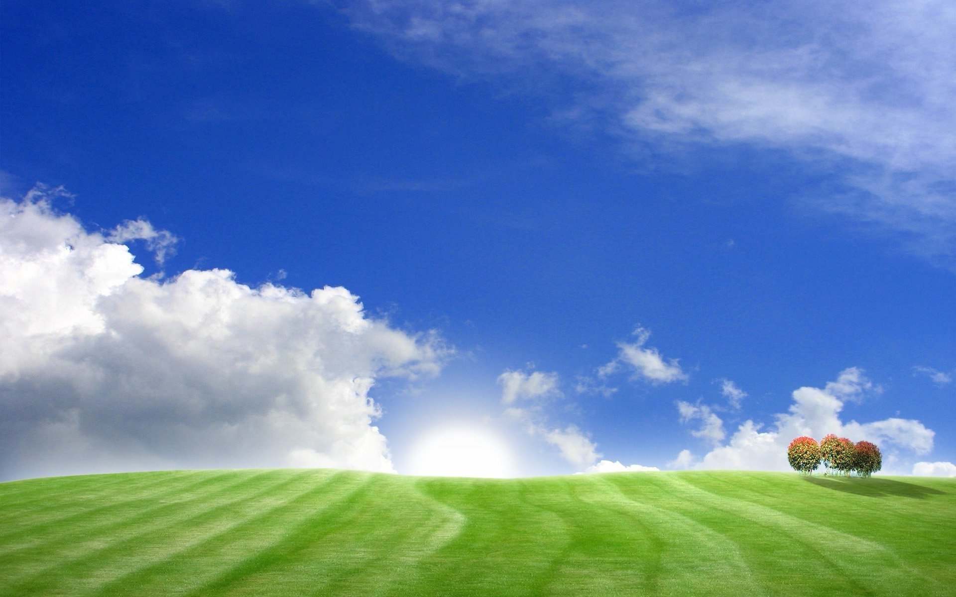 landschaften bäume gras hügel felder feld himmel