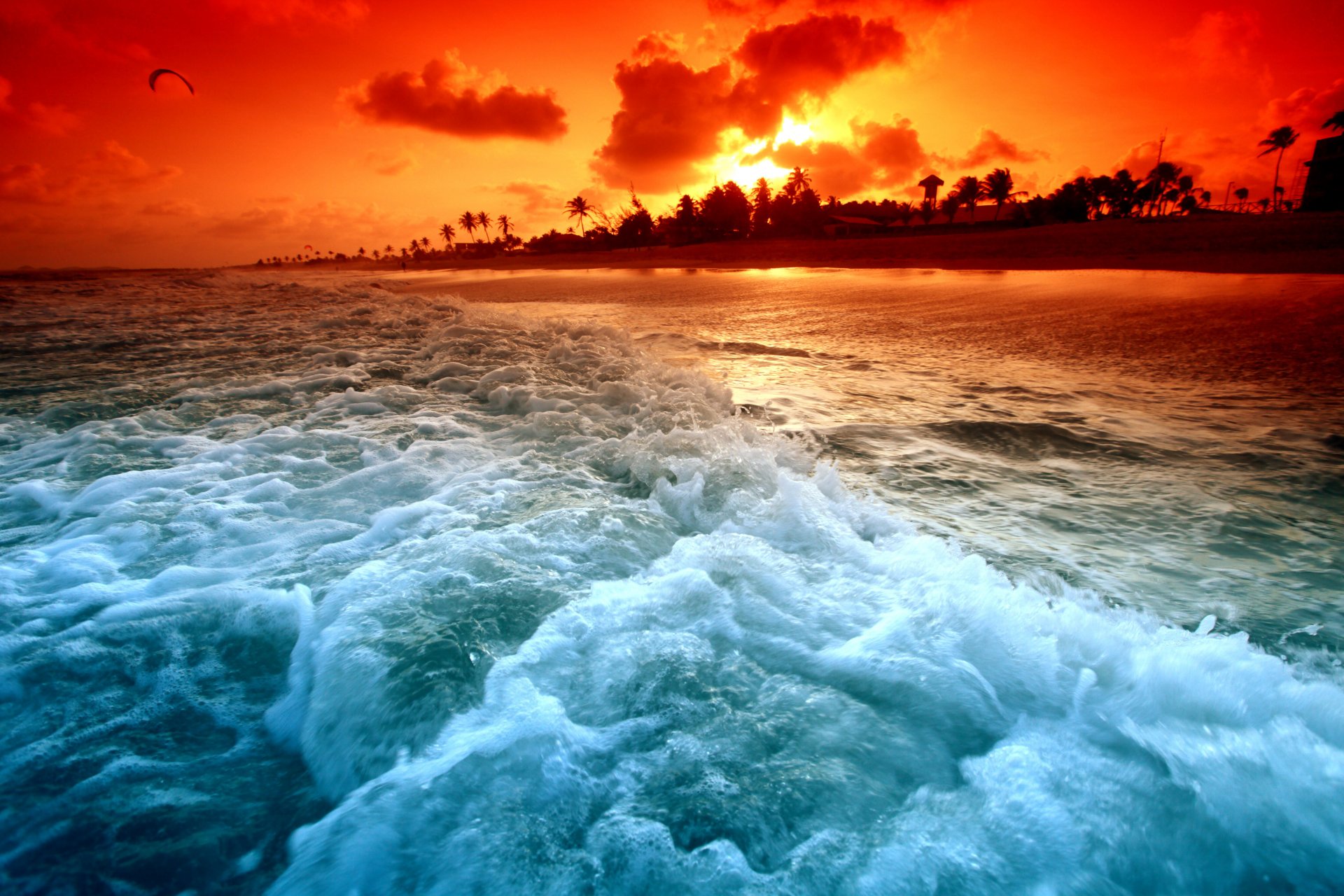 hore sunset beach waves palm tree