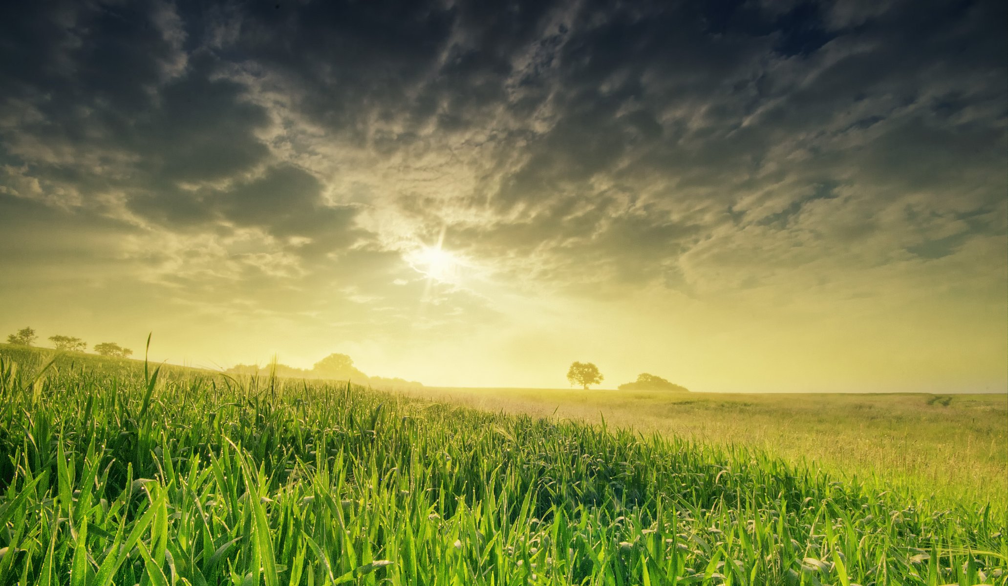 natura primavera campo cielo sole