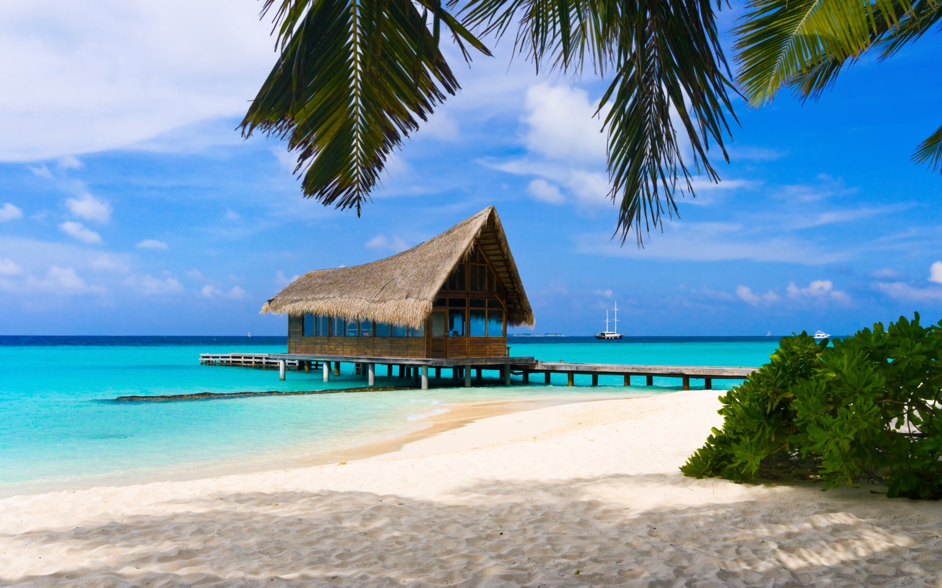 bahamas îles plage sable été vacances paysages eau mer océan palmiers feuilles arbres maisons maisons