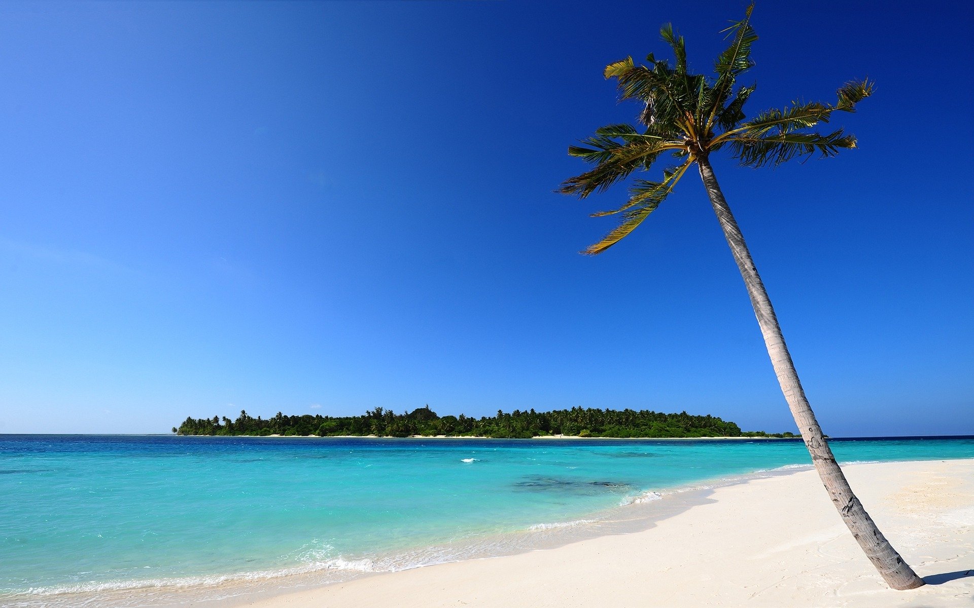 landschaften wasser küste meer ozean inseln sand baum bäume blätter palme palmen pflanzen sommer hitze orte himmel