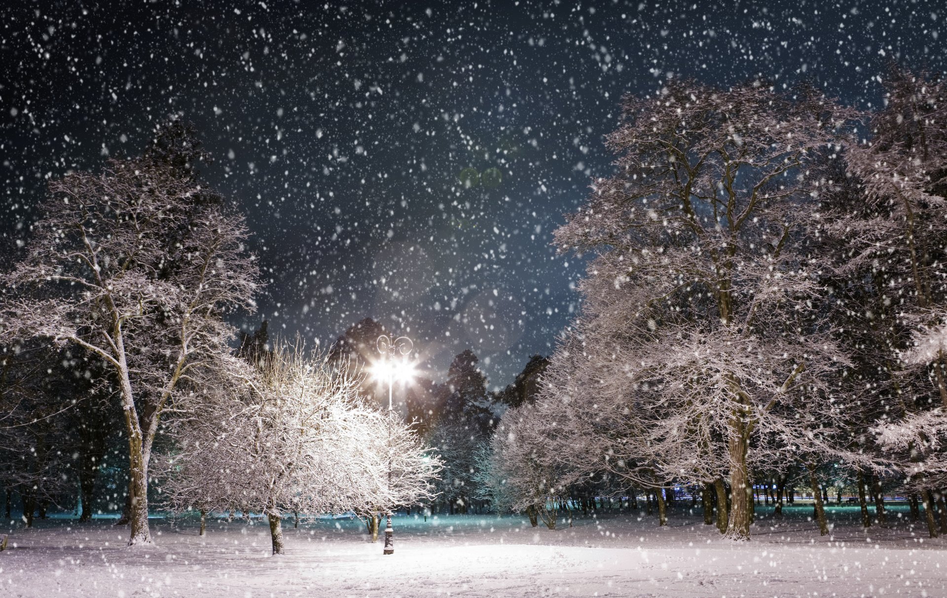 invierno nieve noche parque árboles linterna