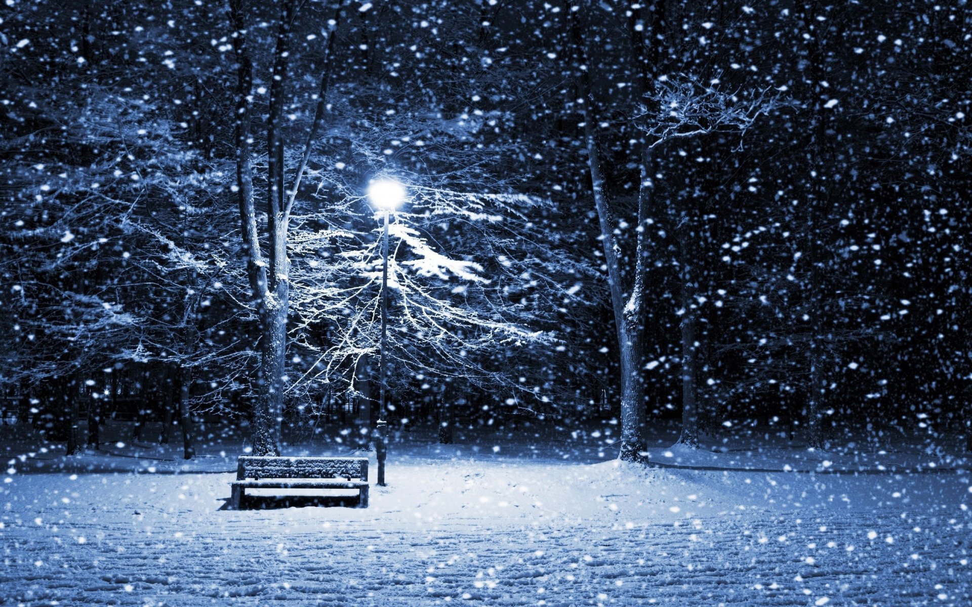 winter evening bench lantern light snow trees branches frost