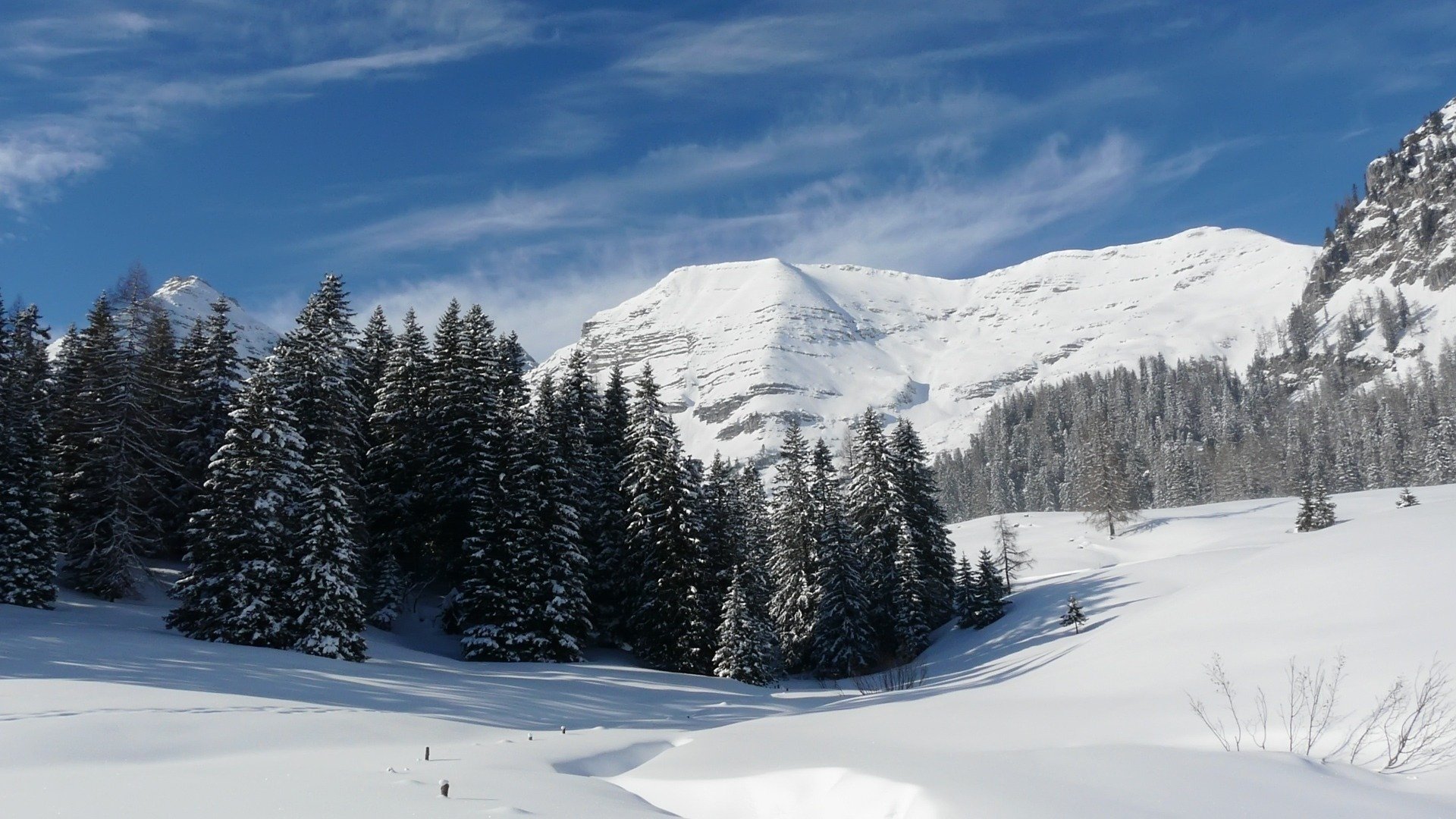 winter snow forest mountain