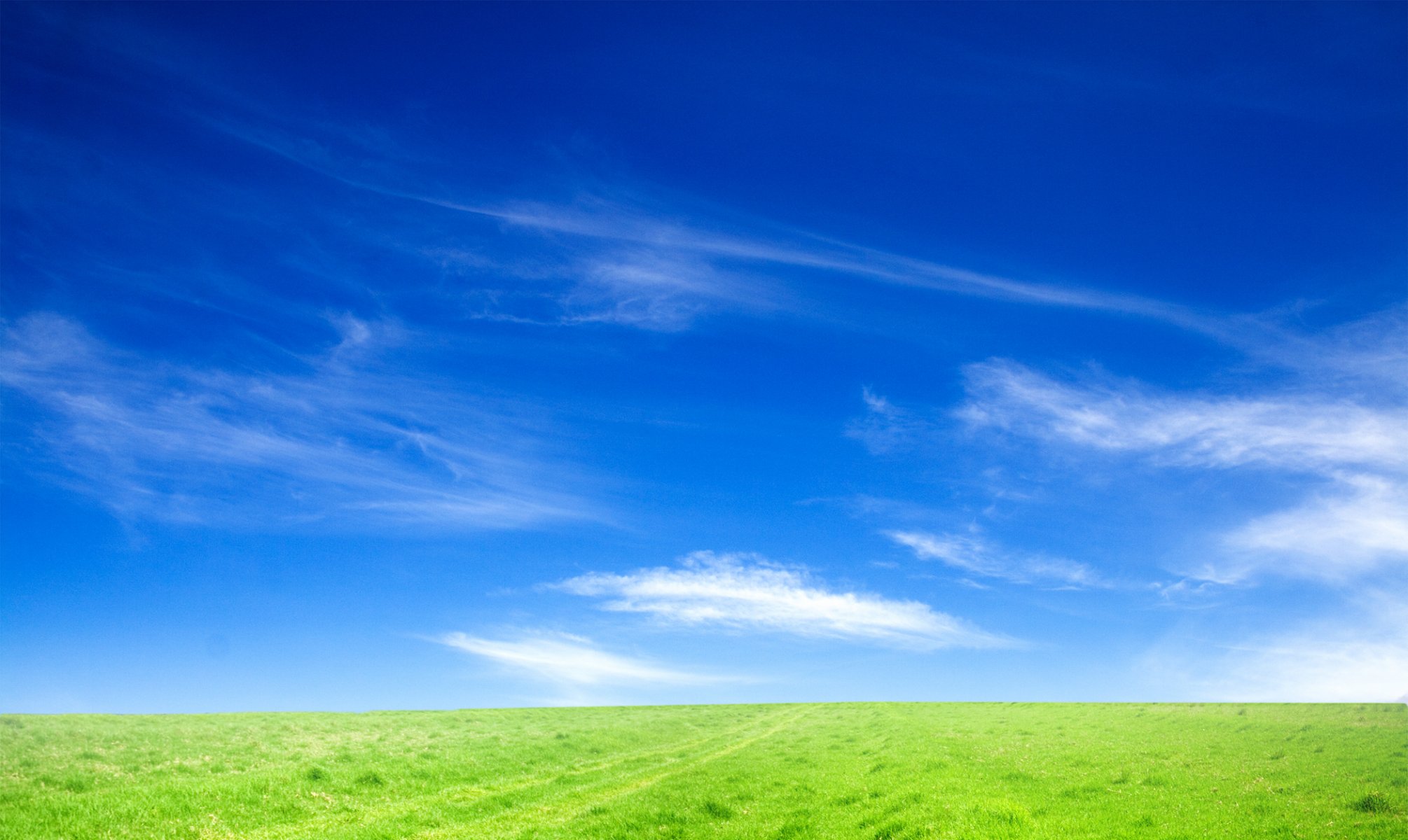 landscape nature sky the field gra