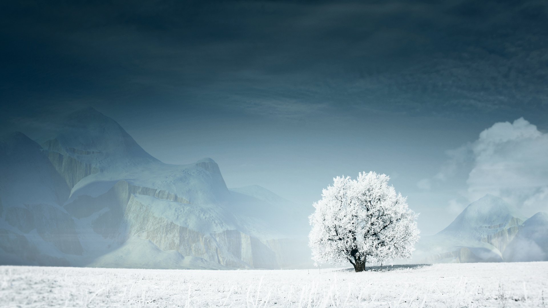 albero neve inverno montagna