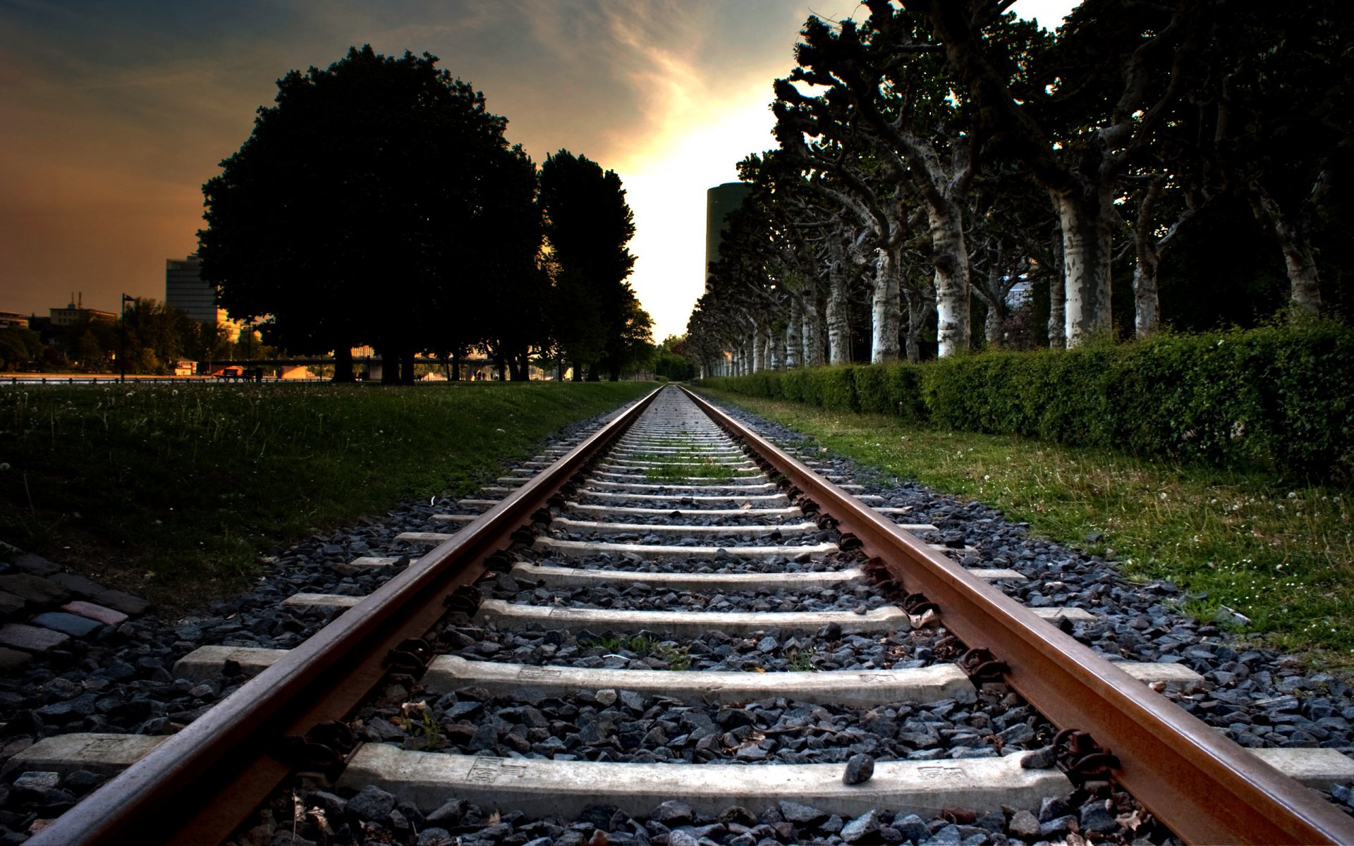 chemin de fer chemin rails arbres ville ciel