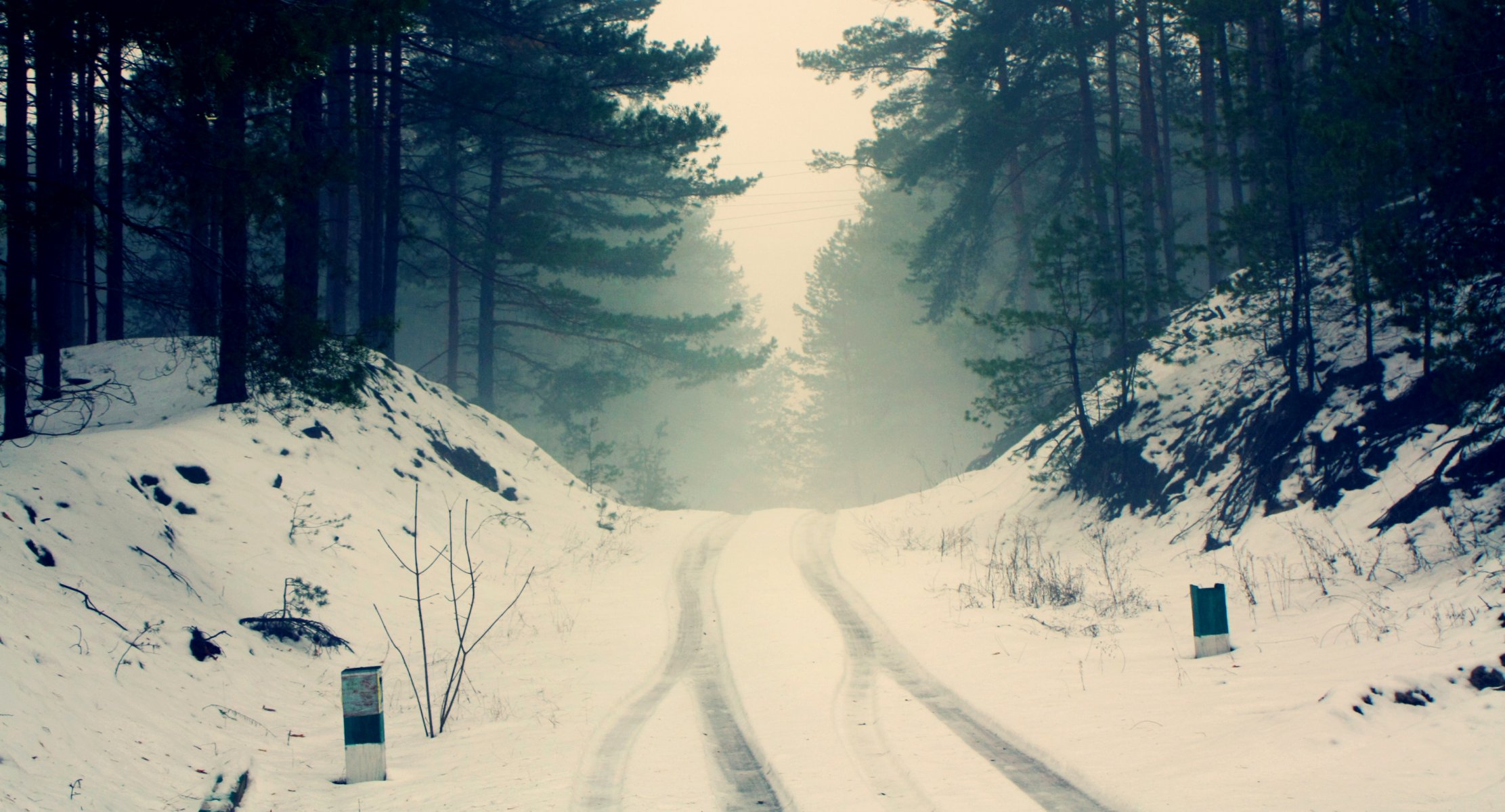 nature hiver route traces de roues forêt arbres pins branches silhouettes brouillard brume froid gel neige silence