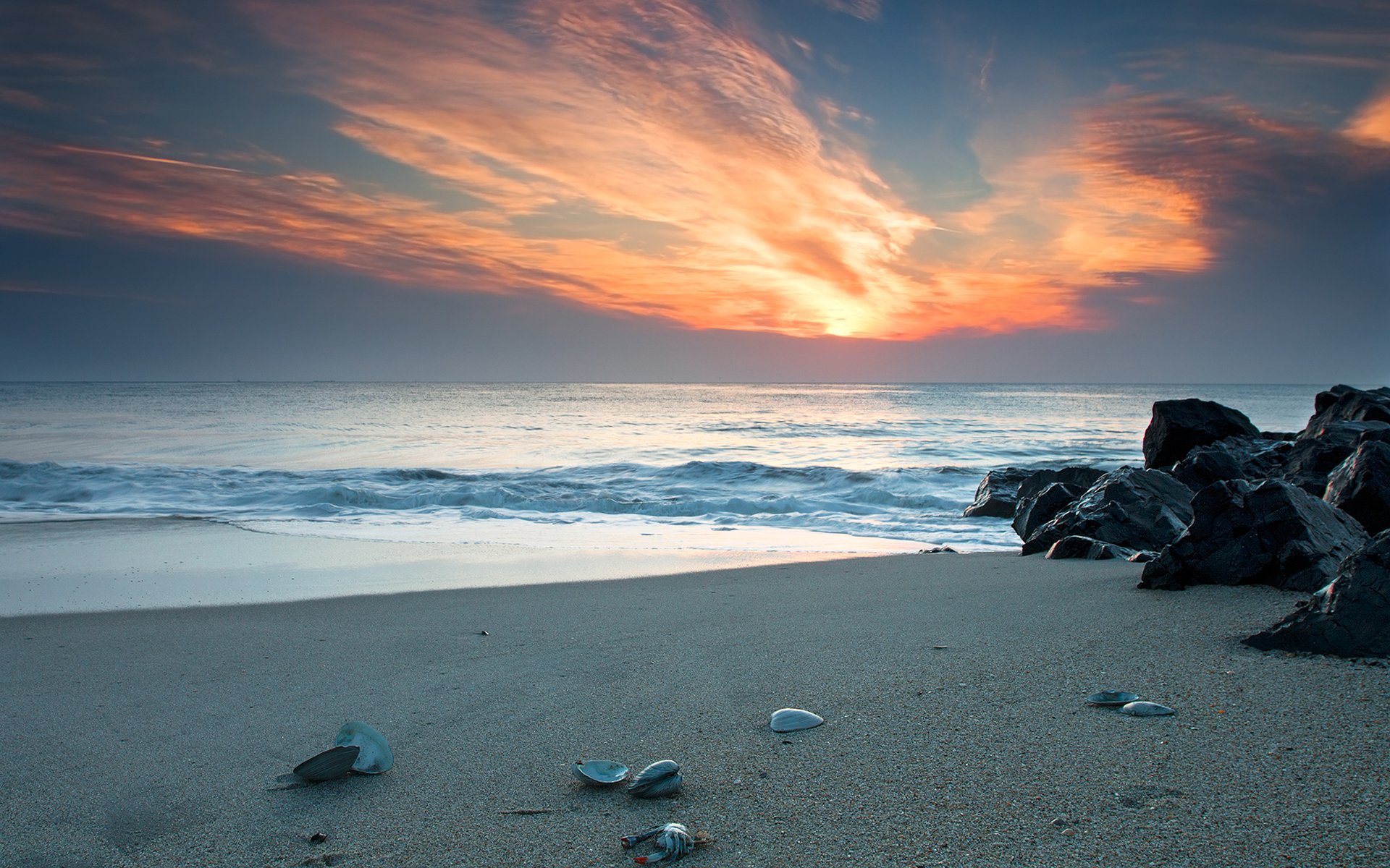 belleza arena playas costa costa concha conchas concha conchas cangrejos piedra piedras puestas de sol cielo cielo agua mar océano