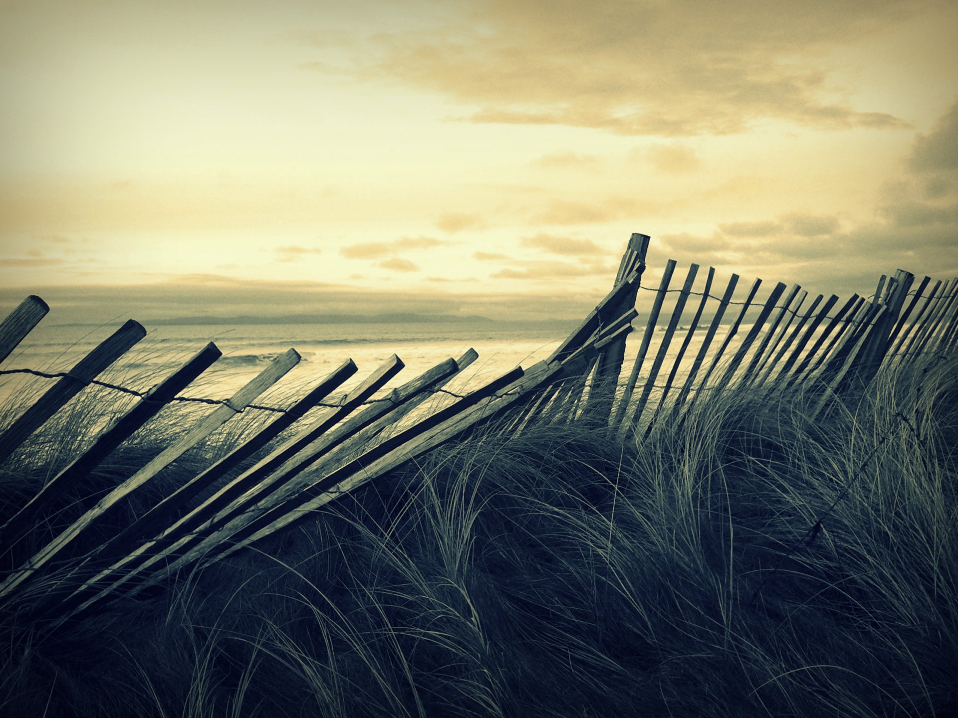 grass beach wind sea waves sky mood storm fence fencing landscape