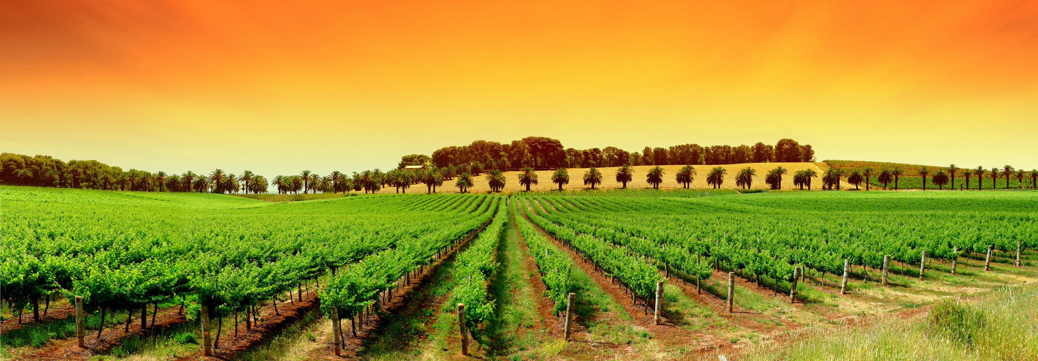 landschaften natur widescreen pflanzen anzeigen himmel bäume fotos