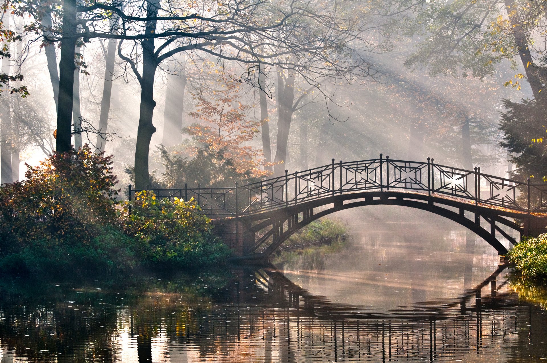 nature parc arbres buissons rivière pont rayons romance