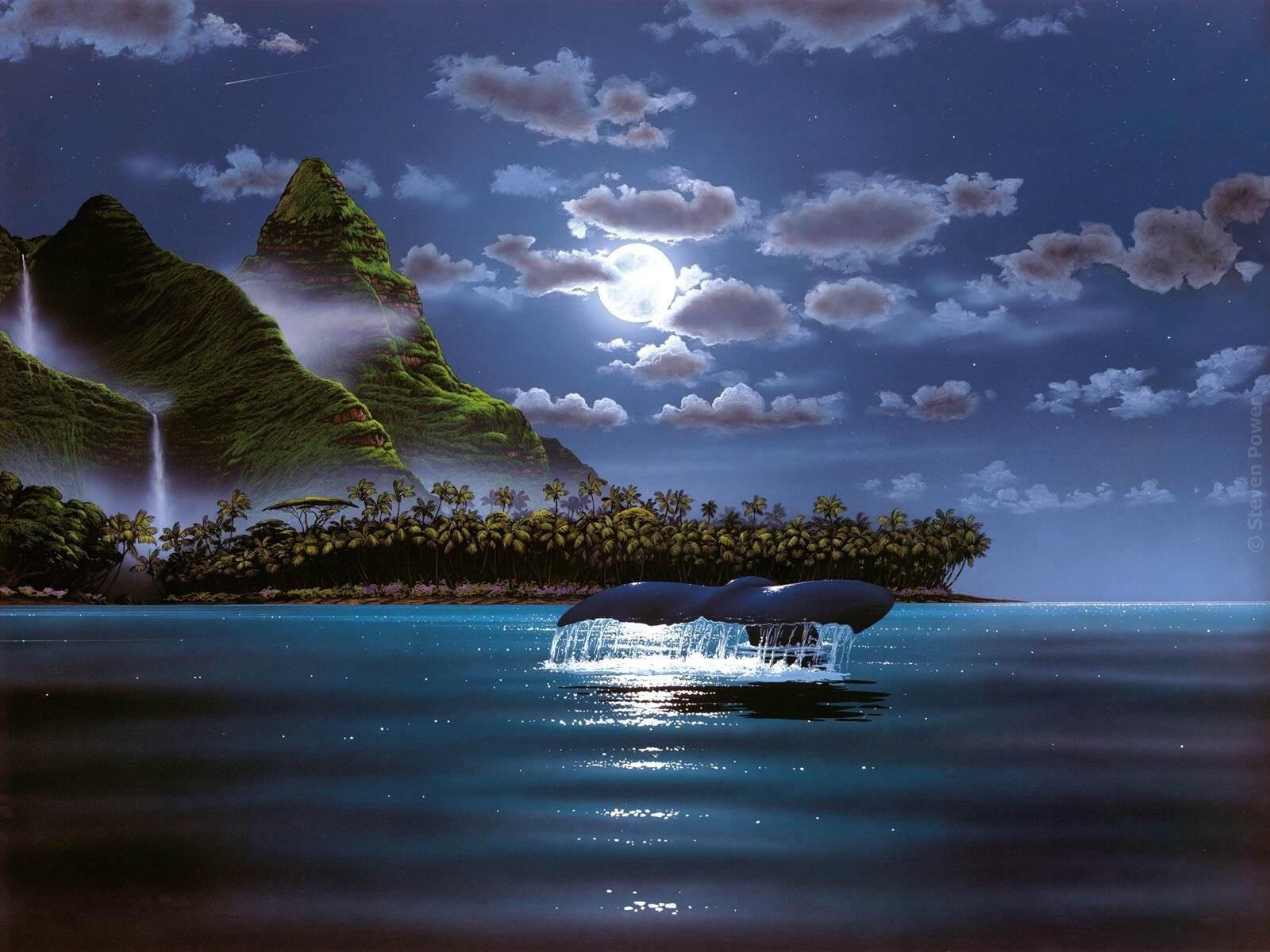 ocean night moon whale