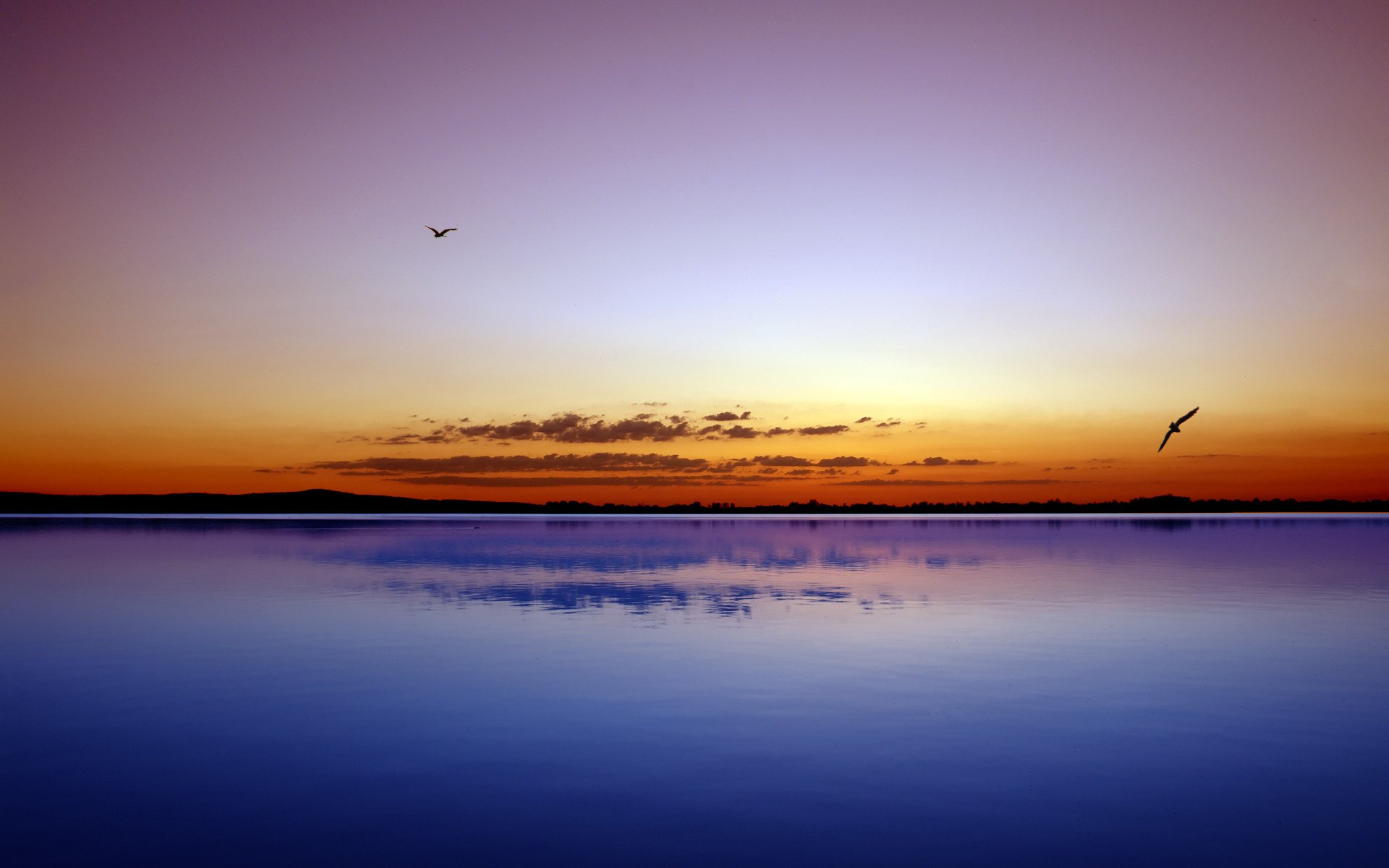 paysage beauté soir oiseaux eau océan mer