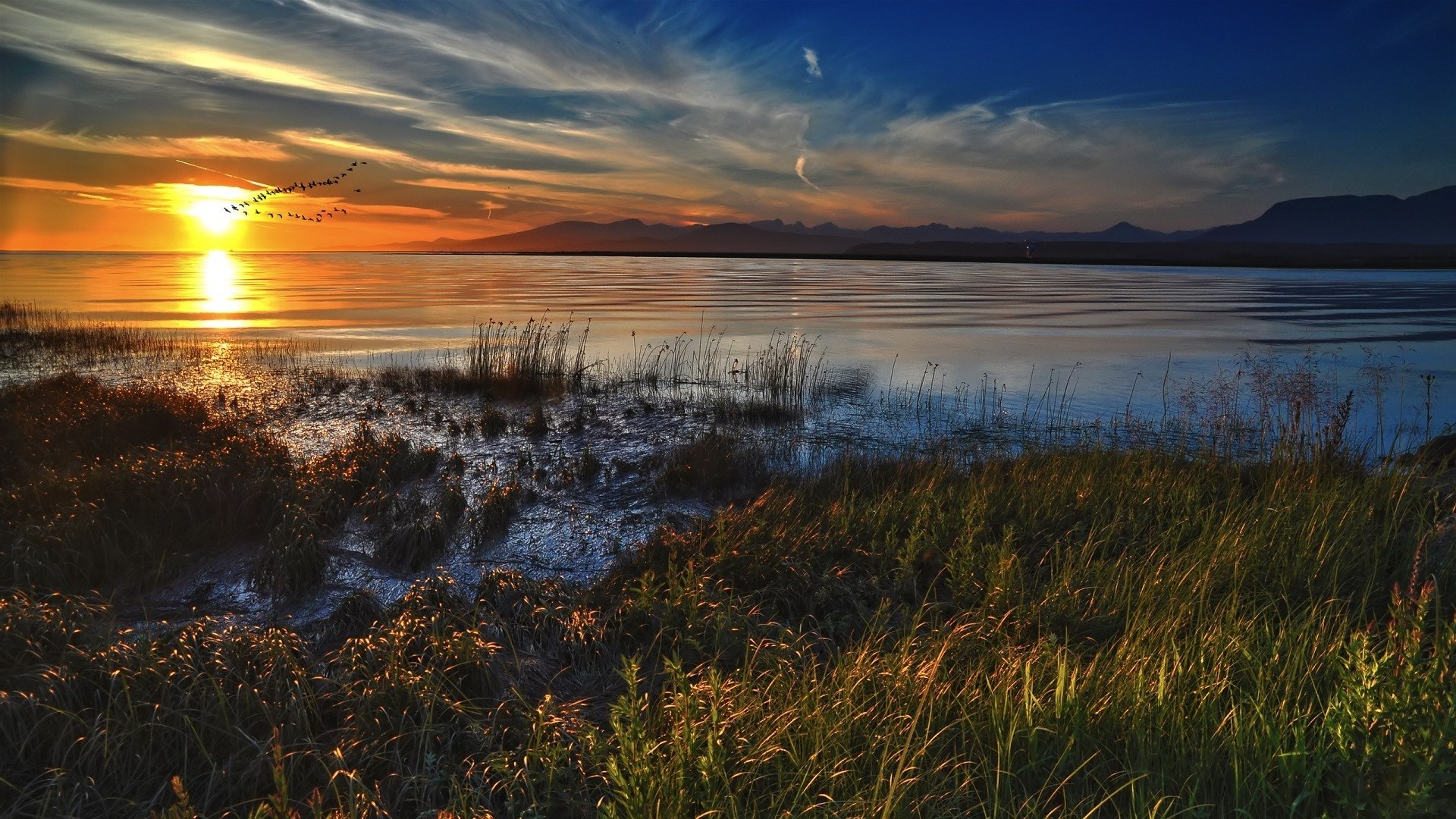 sonnenuntergang vögel wasser