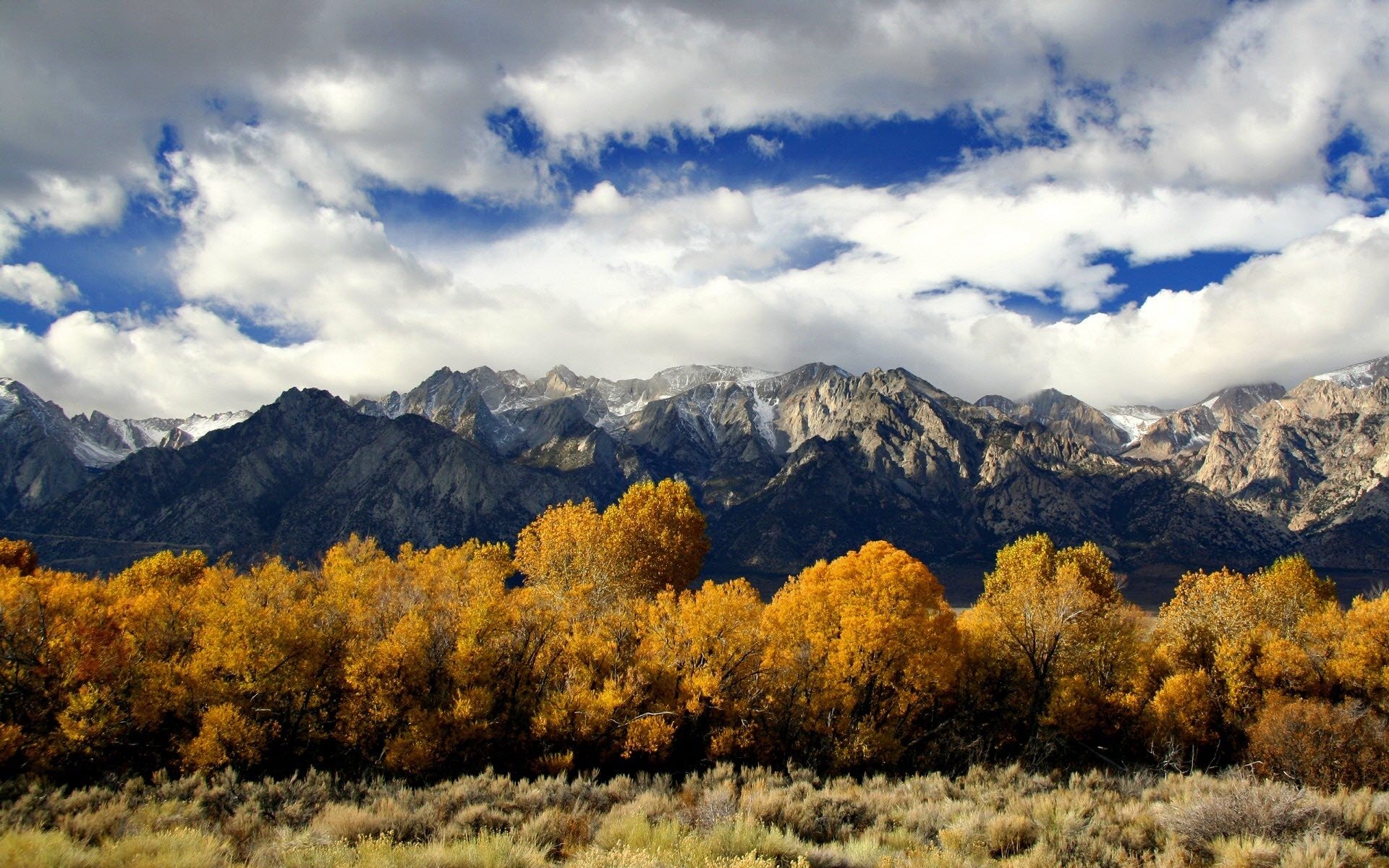 natura alberi paesaggi autunno