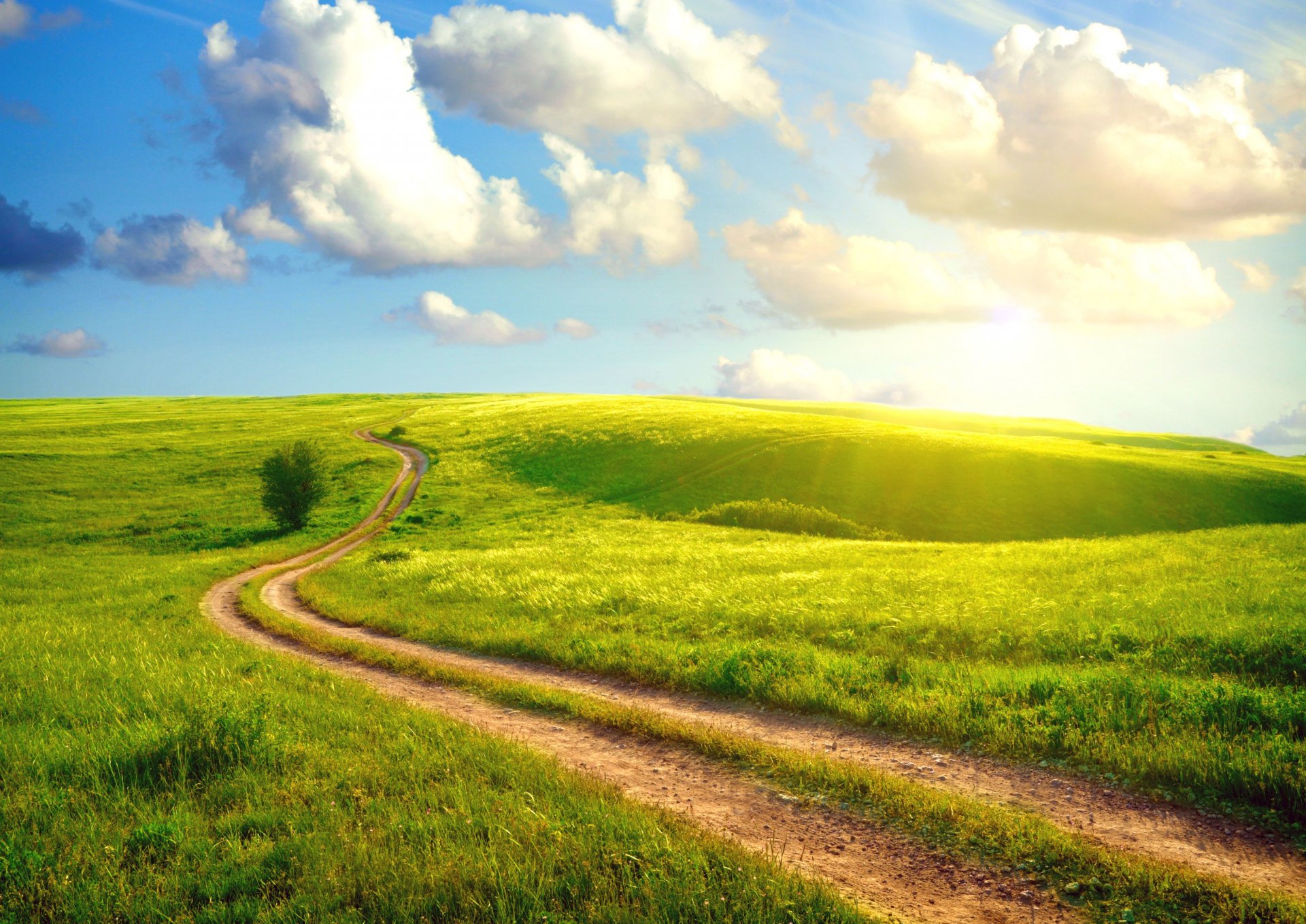 unshine day village roads in the villages road thick grass summer sun sky clouds landscape