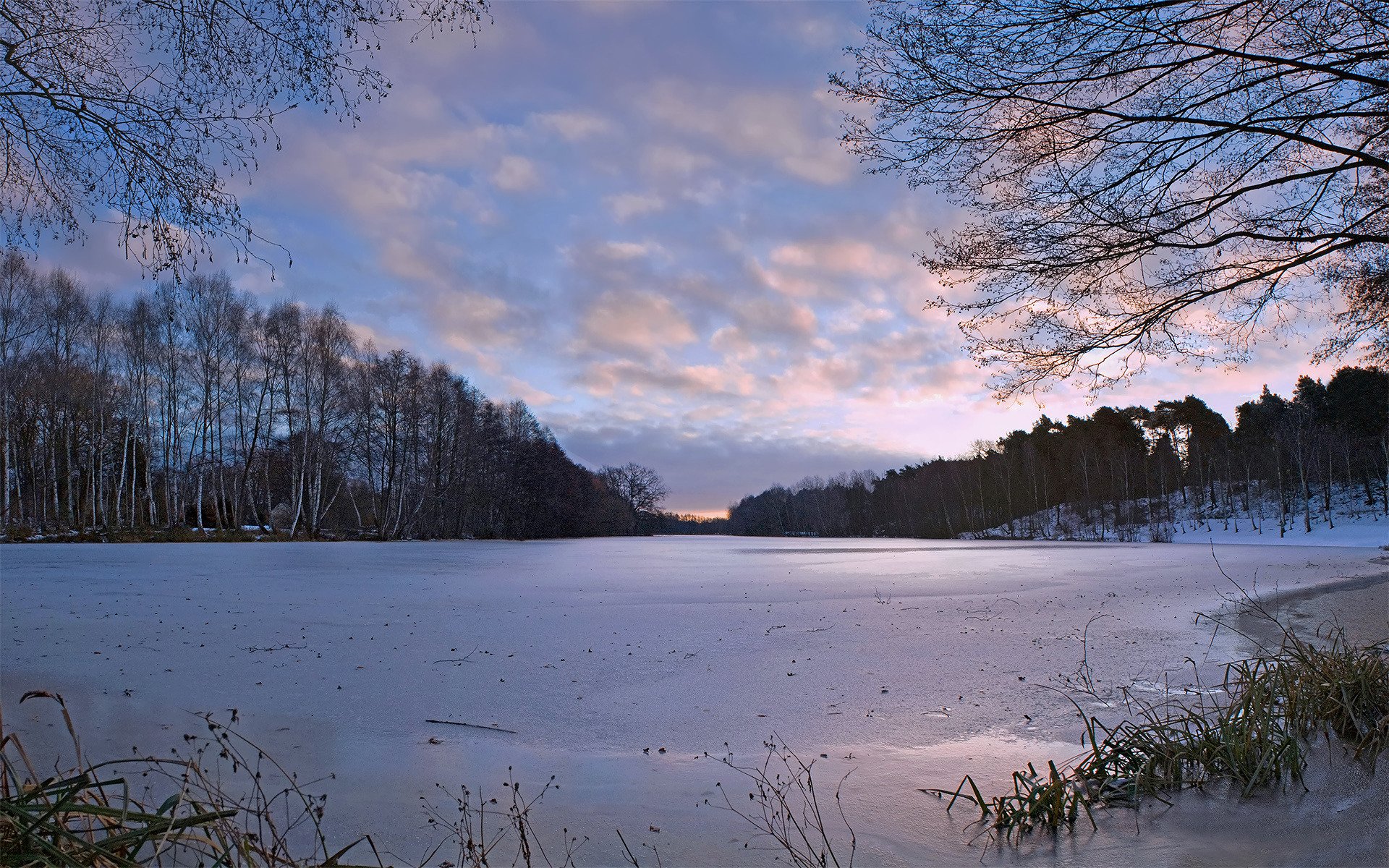 natura inverno alberi fiume ghiaccio