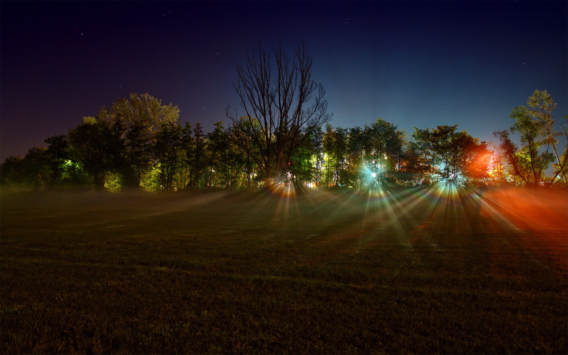 landschaften nacht wald feld bäume licht strahlen lichter foto