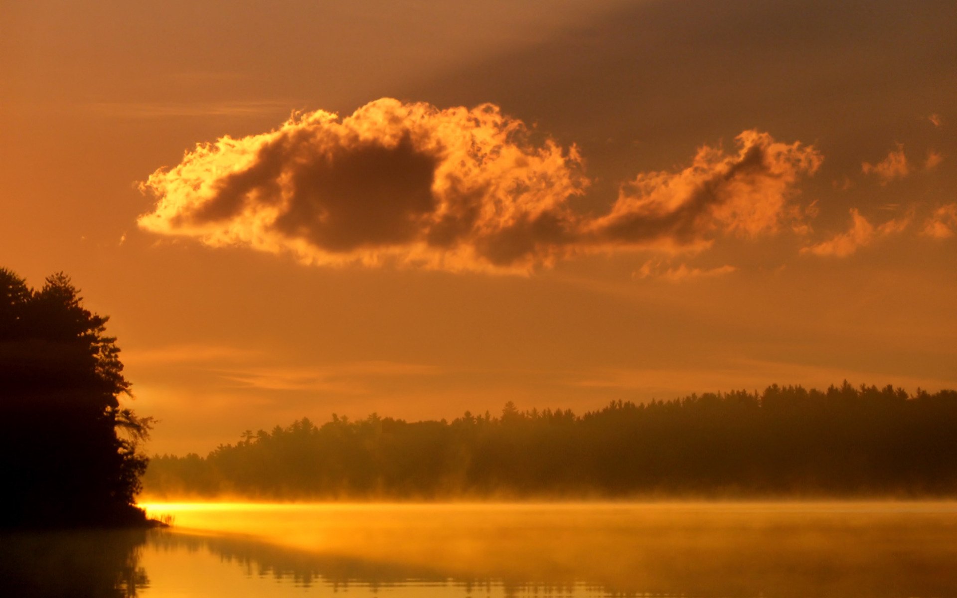 paesaggio nebbia acqua luce fiume lago alberi