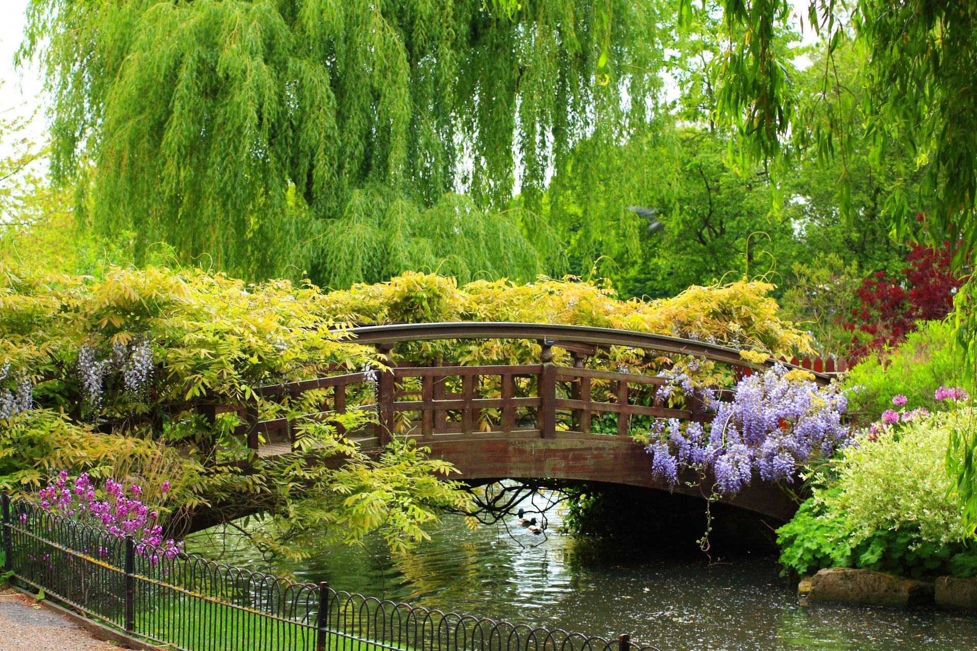 pring garden bridge park beautiful bridge river fence plants flowers trees weeping willow beauty