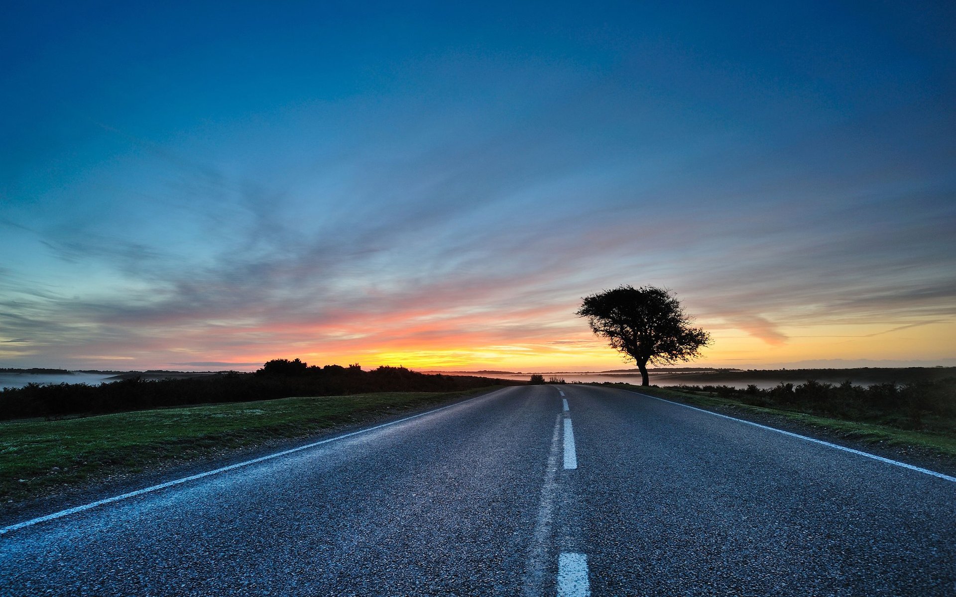 arbre arbres route routes soirée ciel chemin chemins couchers de soleil