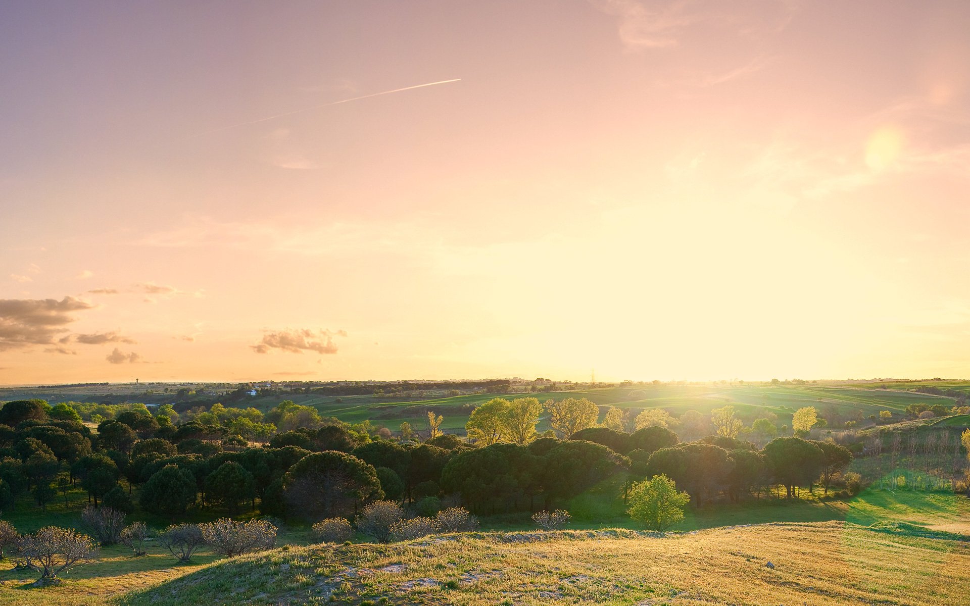 pring hills landscape tree flowers bloom mood sun rays sky horizon