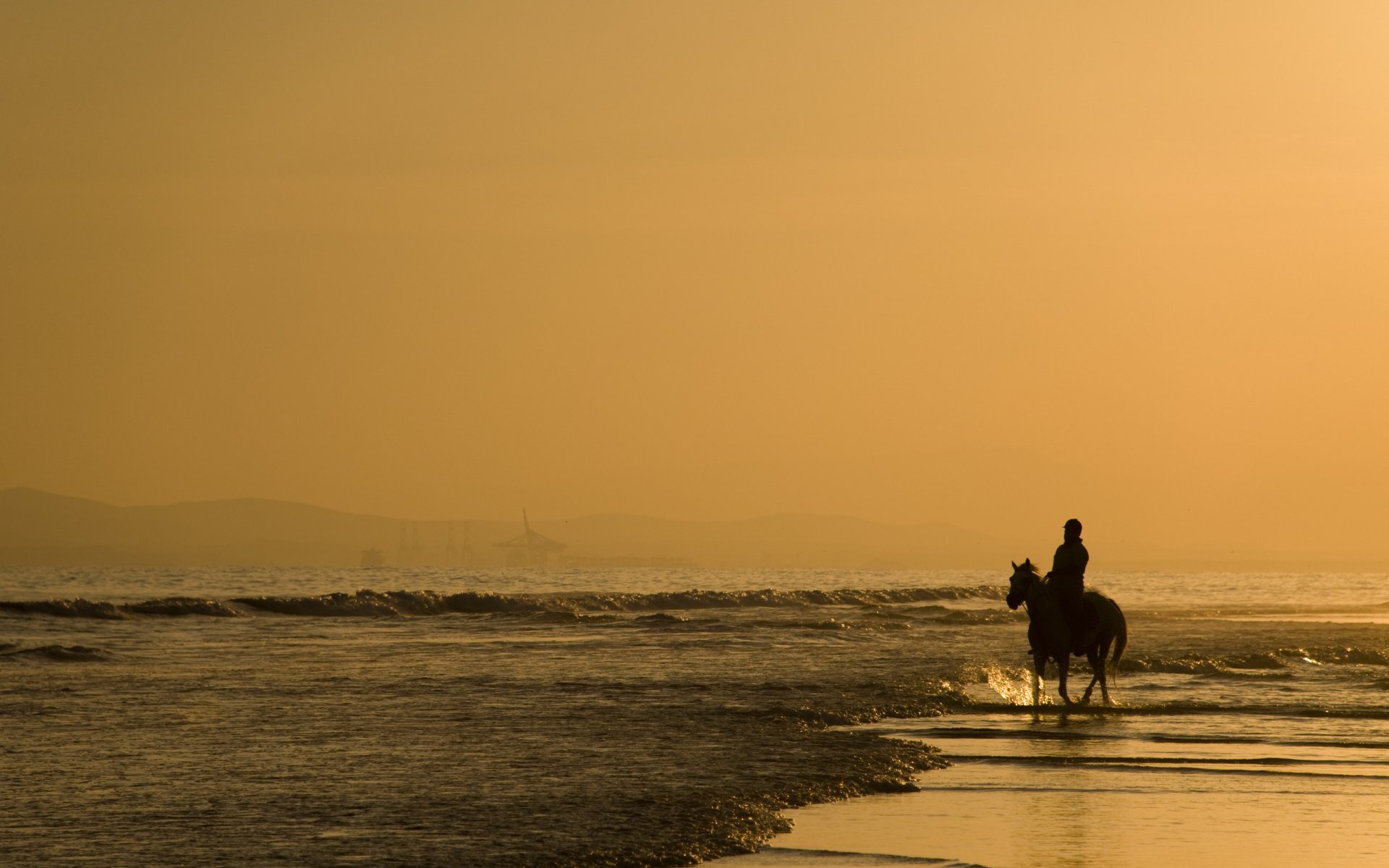 paysage animaux cheval cheval chevaux chevaux personnes homme marche promenade eau rivage sable océan mer matin