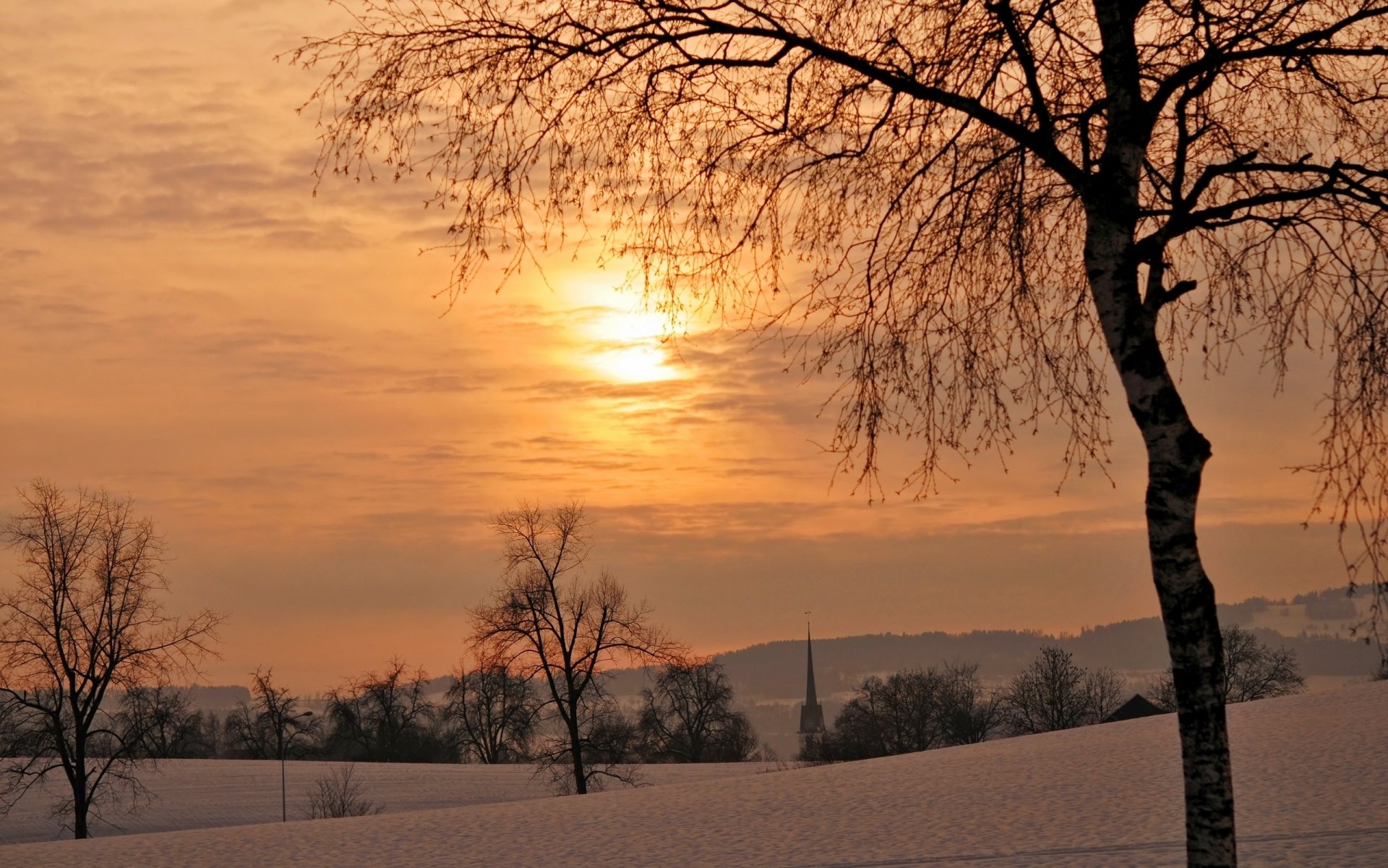 hiver arbres coucher de soleil