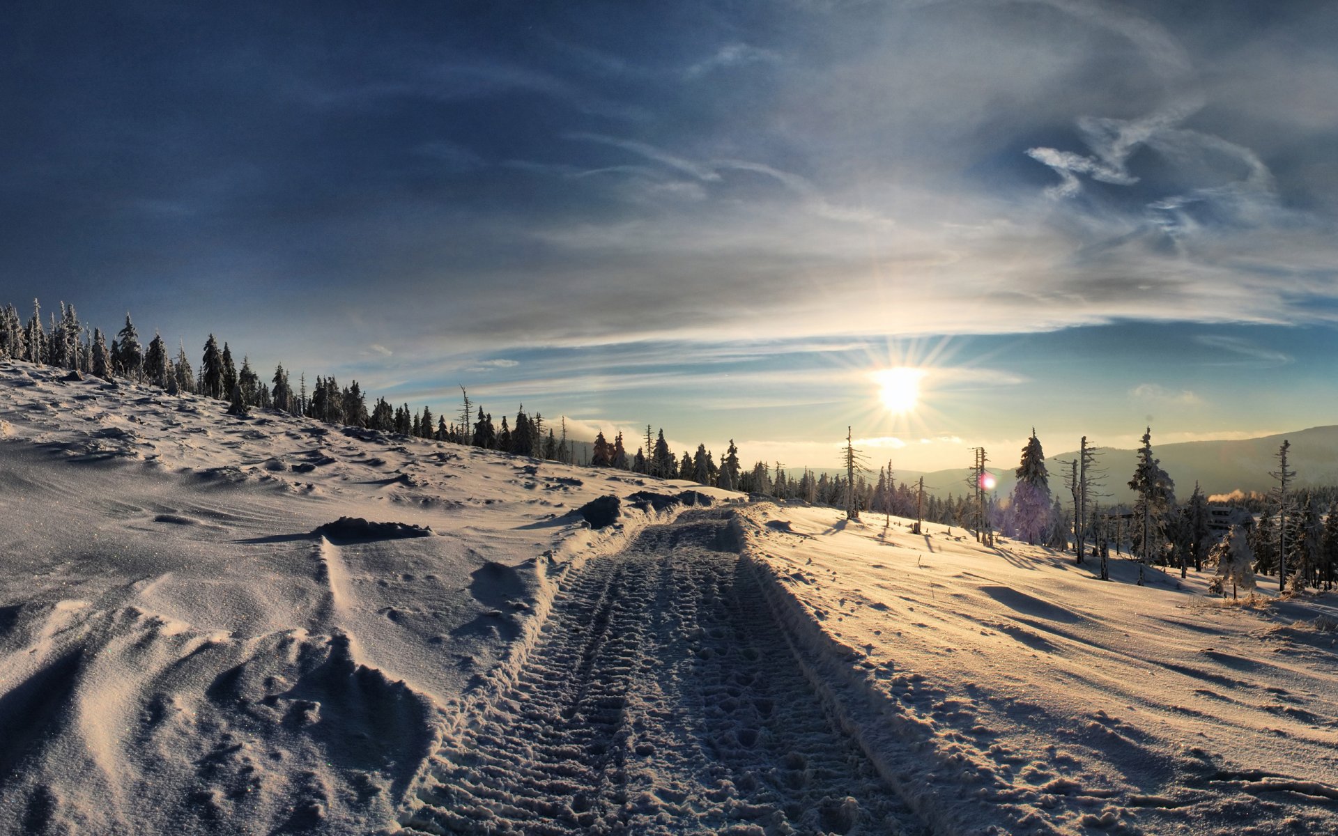 nature landscape winter snow frost drifts road slope christmas tree sky sun photo images wallpaper