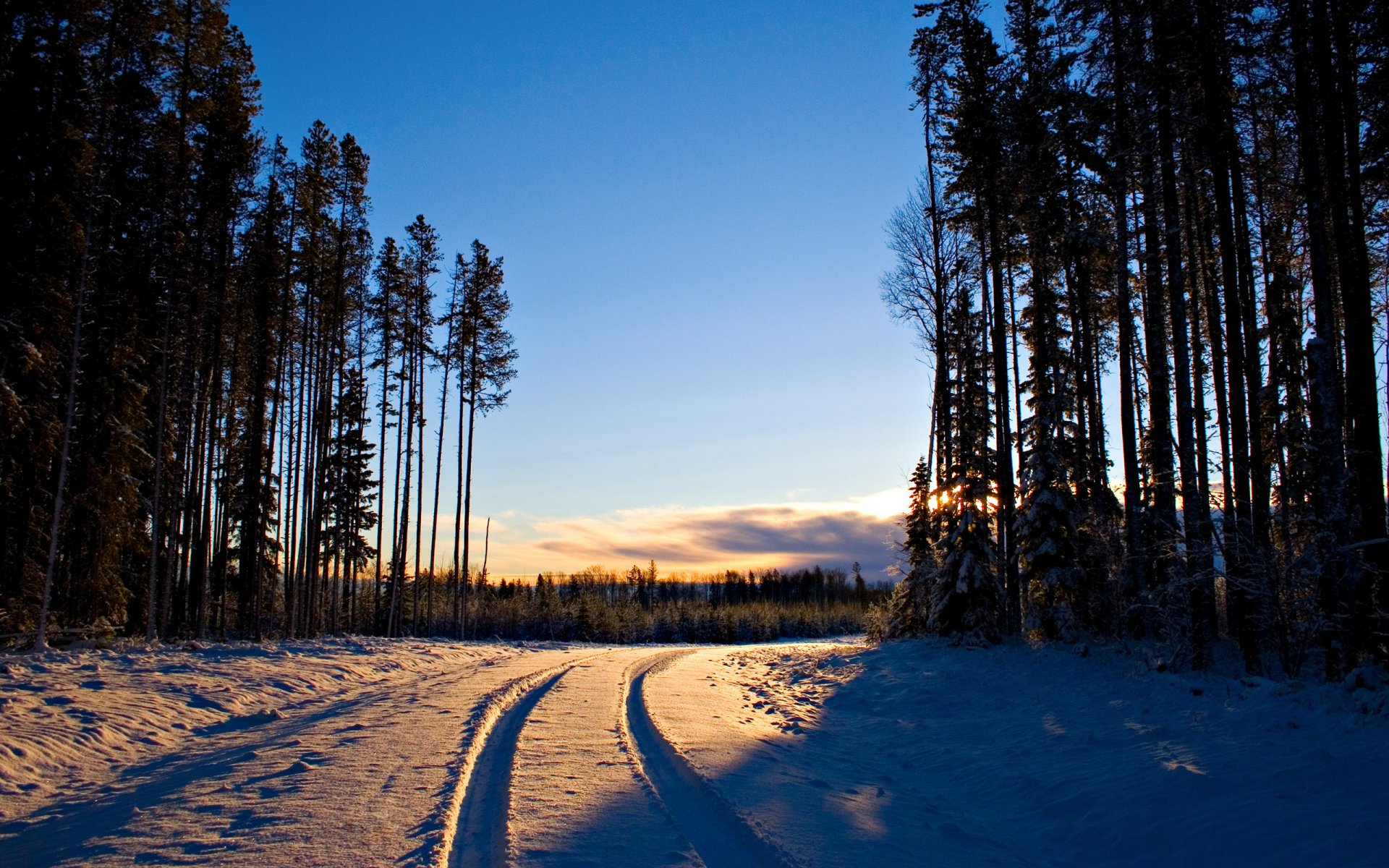 2560x1600 hd wände landschaften winter dämmerung schnee bäume wald baum straße straße spuren licht canon eos 20d