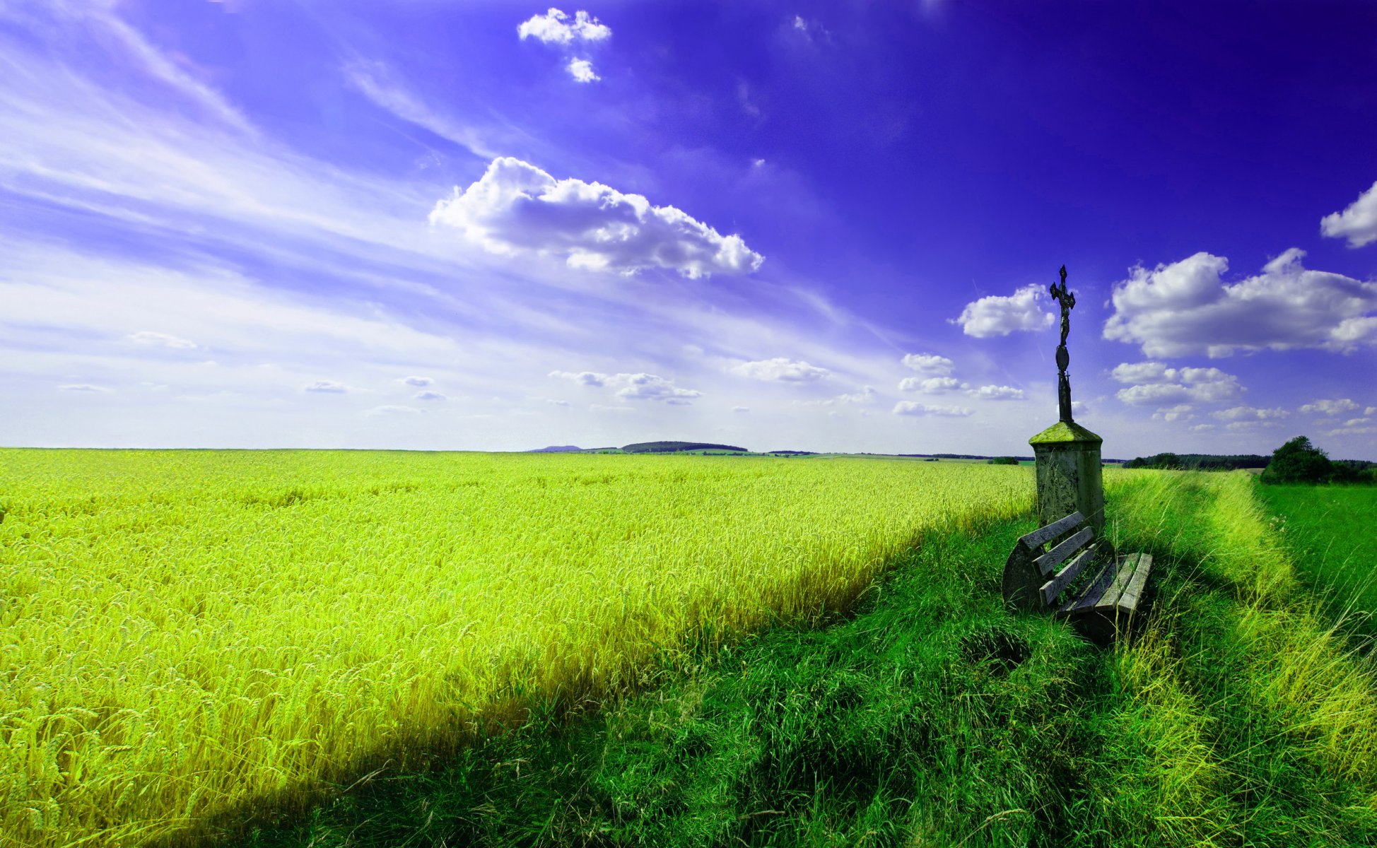 landscape nature the field grass wheat benches sky cloud