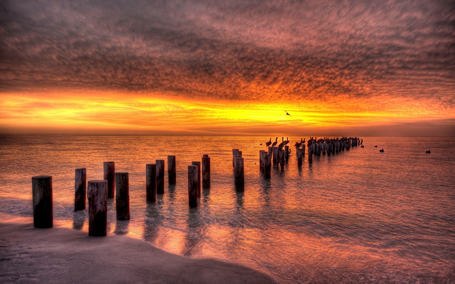 landscape sea nature water ocean beach sand beaches coast