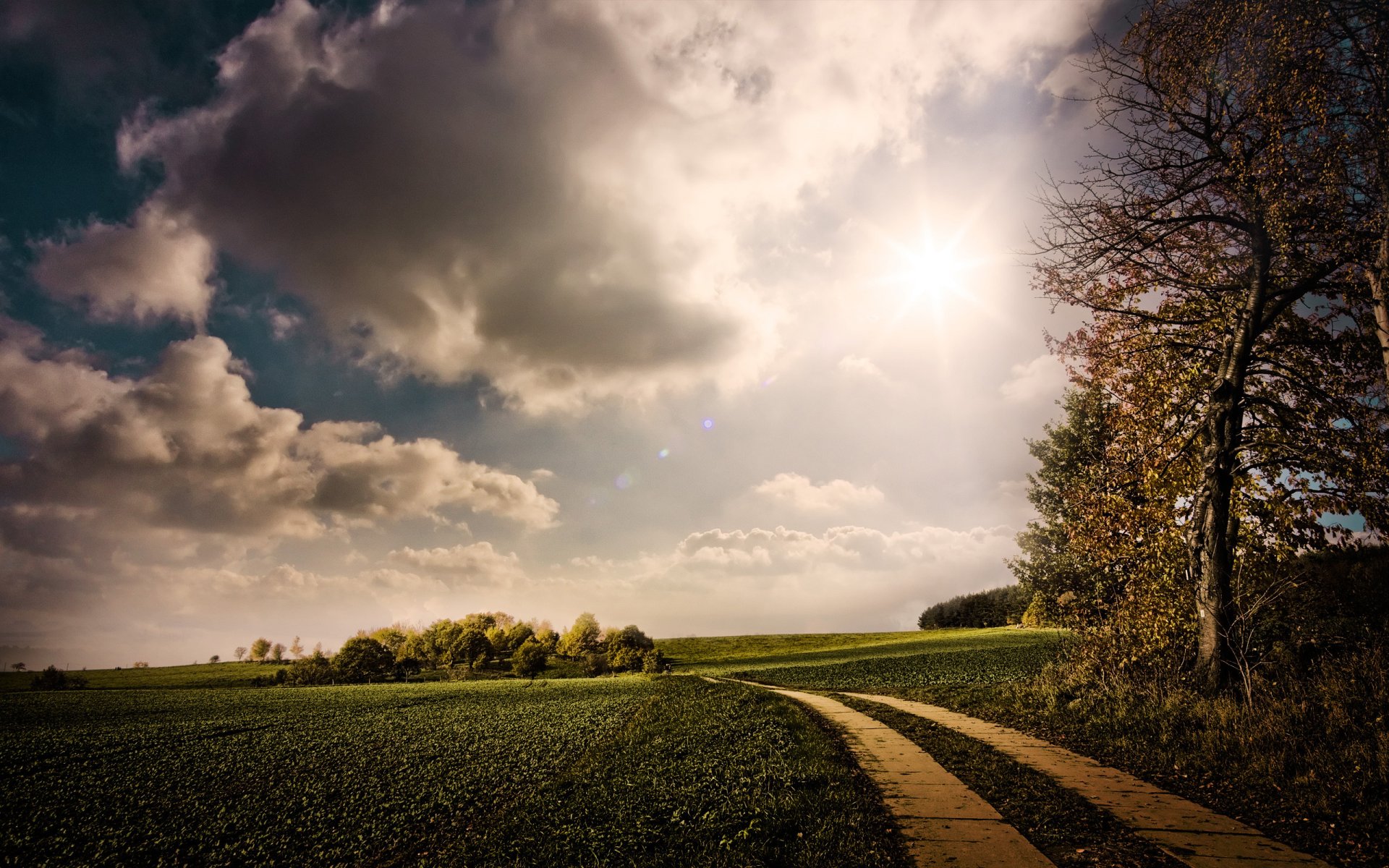 sole natura strada verde nuvole alberi cielo