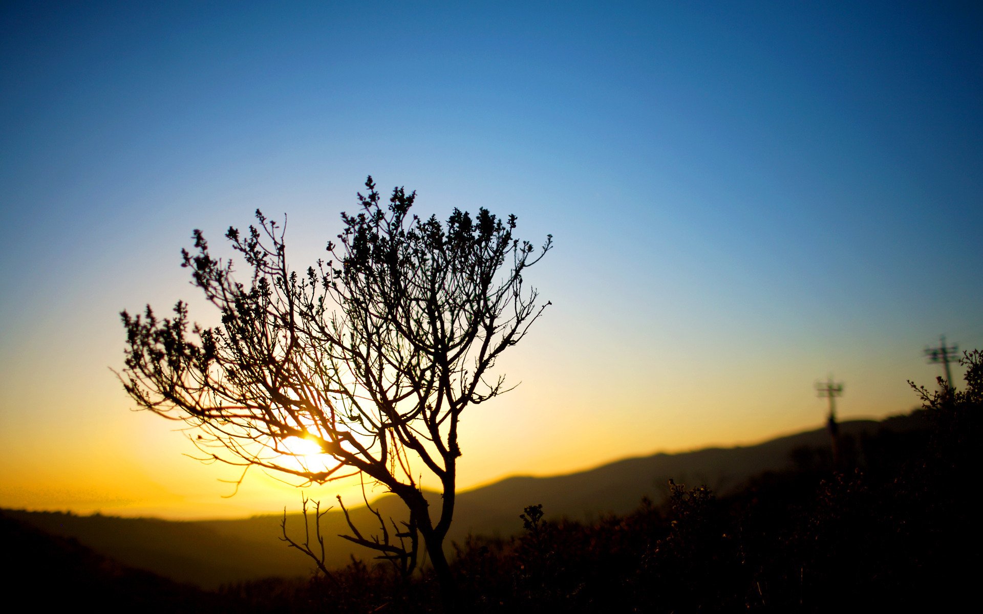 tramonto sera sole luce cespugli natura paesaggio cielo tramonto tramonto natura