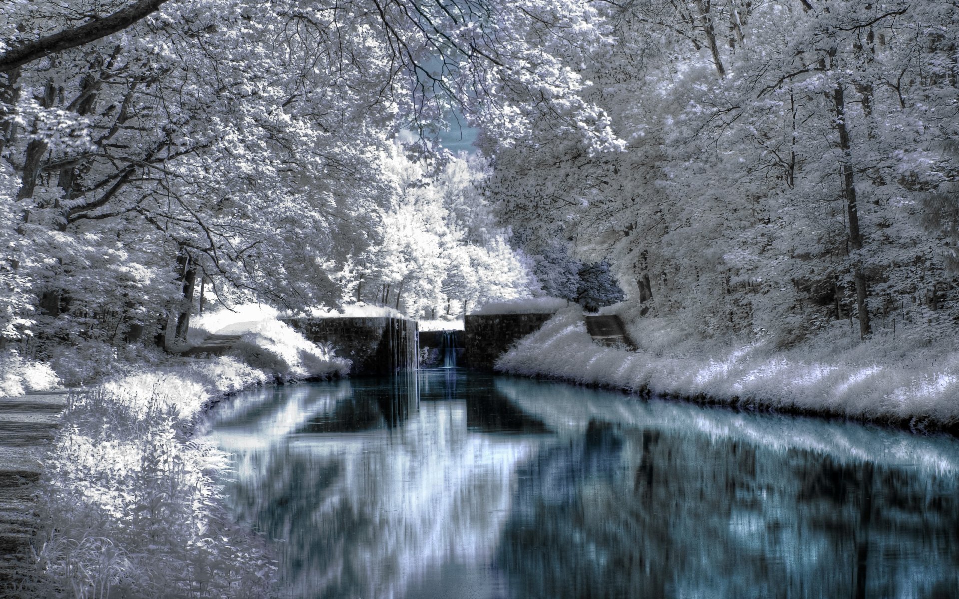 landschaften winter bäume parks wälder schnee