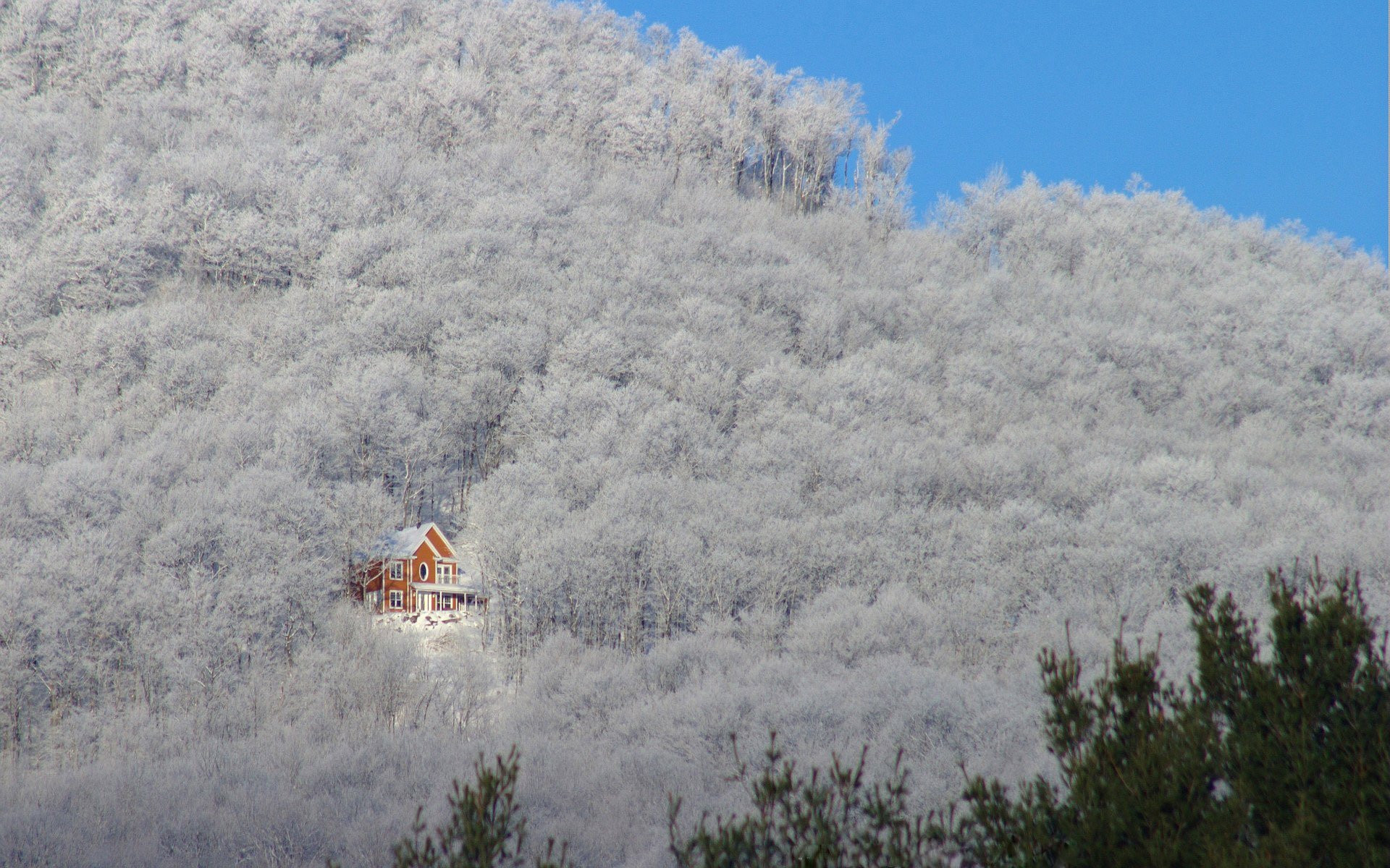 alberi pendio montagna casa