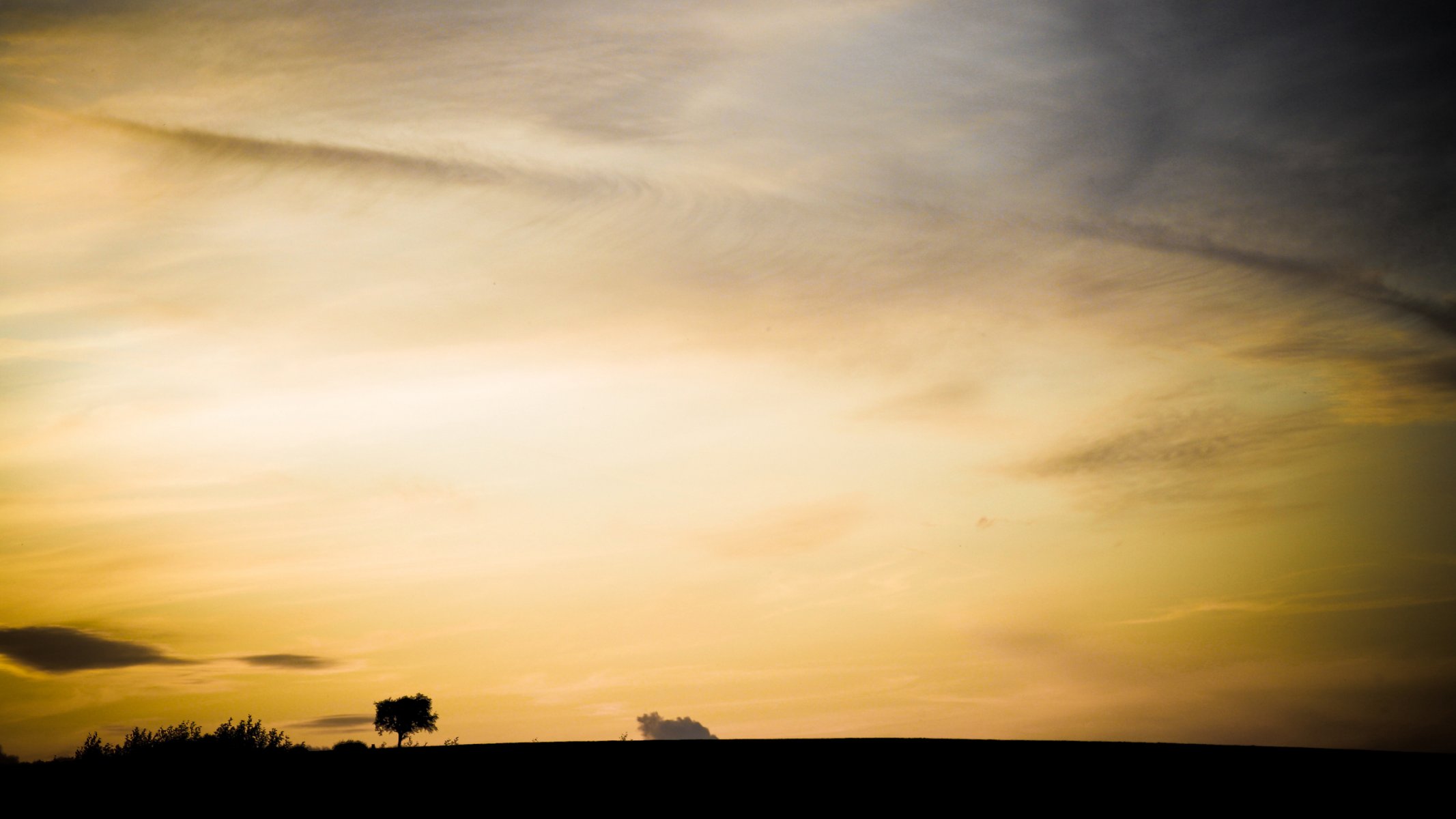 cielo giallo albero