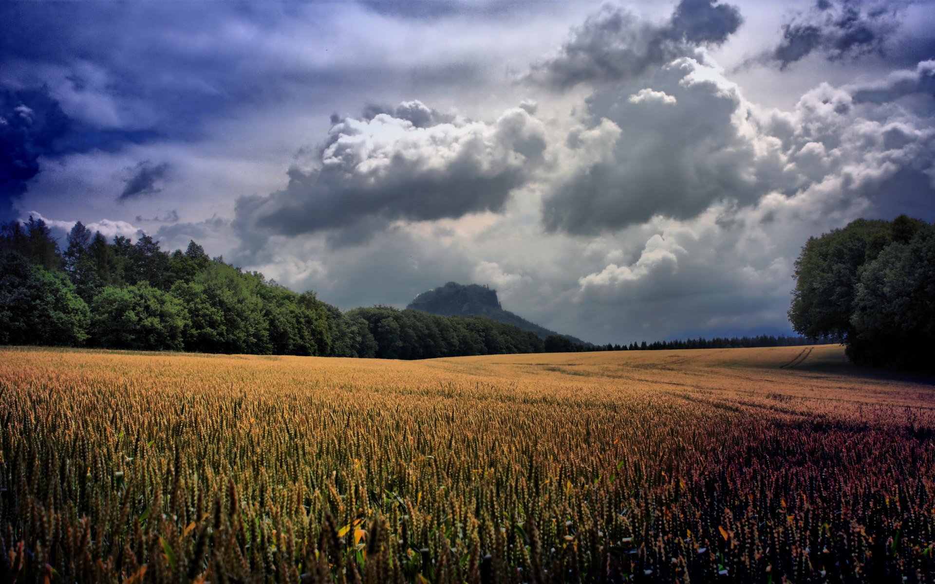 natur landschaft schönheit himmel wolken wolken bäume grün pflanzen feld tal ohren weizen gras blumen landschaft neigung himmel grün foto