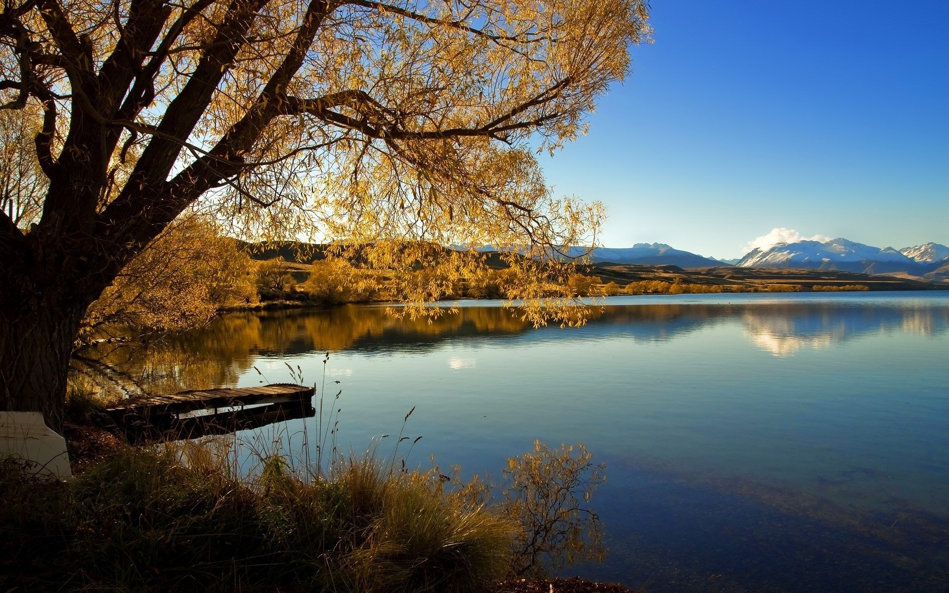 lago alexandrina nuova zelanda