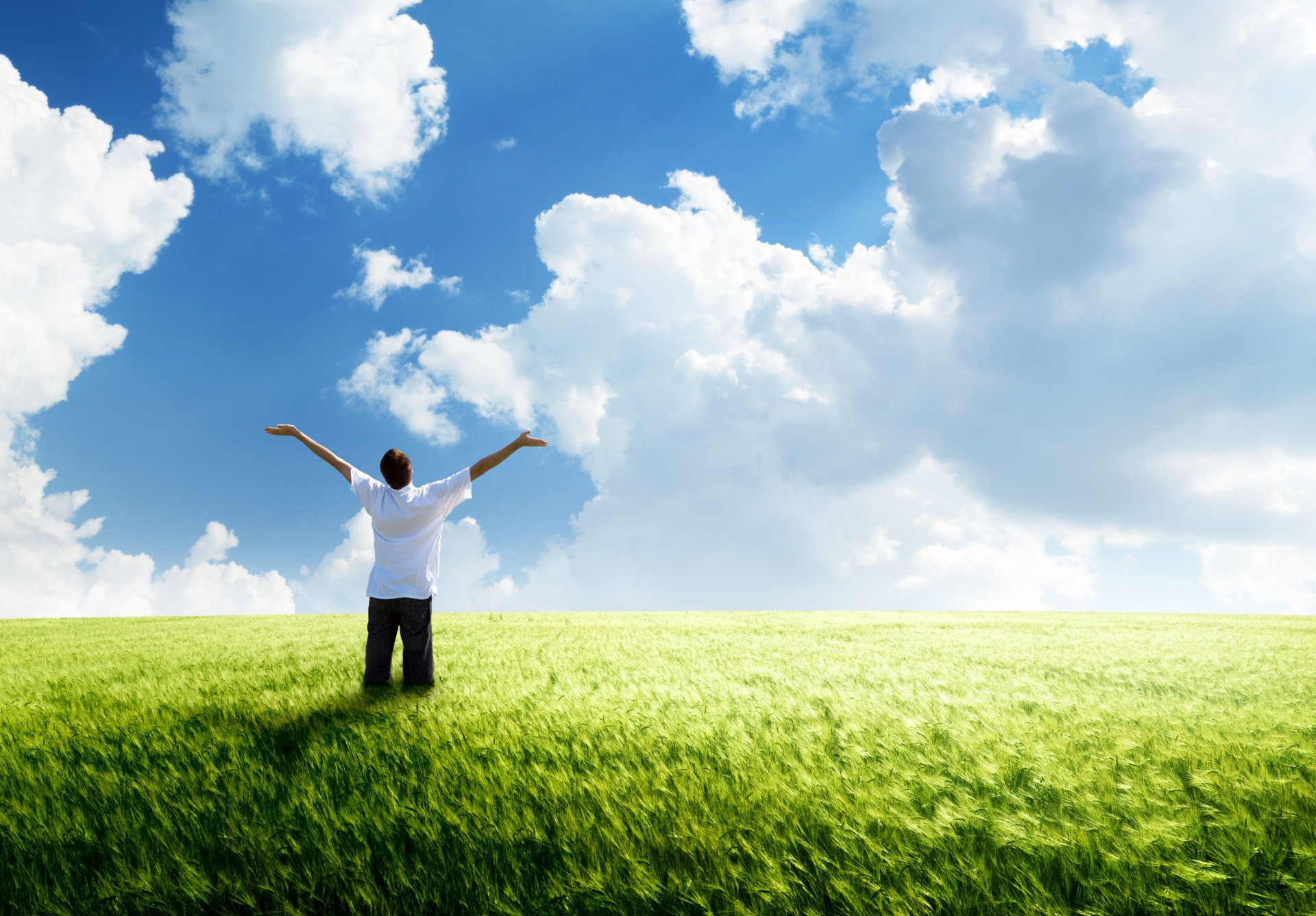 libertà verde terra nuvole vento campo grano orizzonte blu cielo umore ragazzo