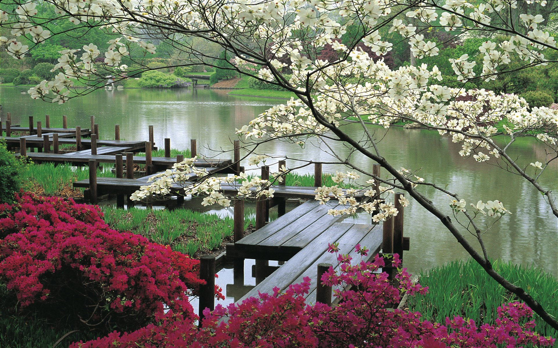 fleurs passerelle japon eau jardin