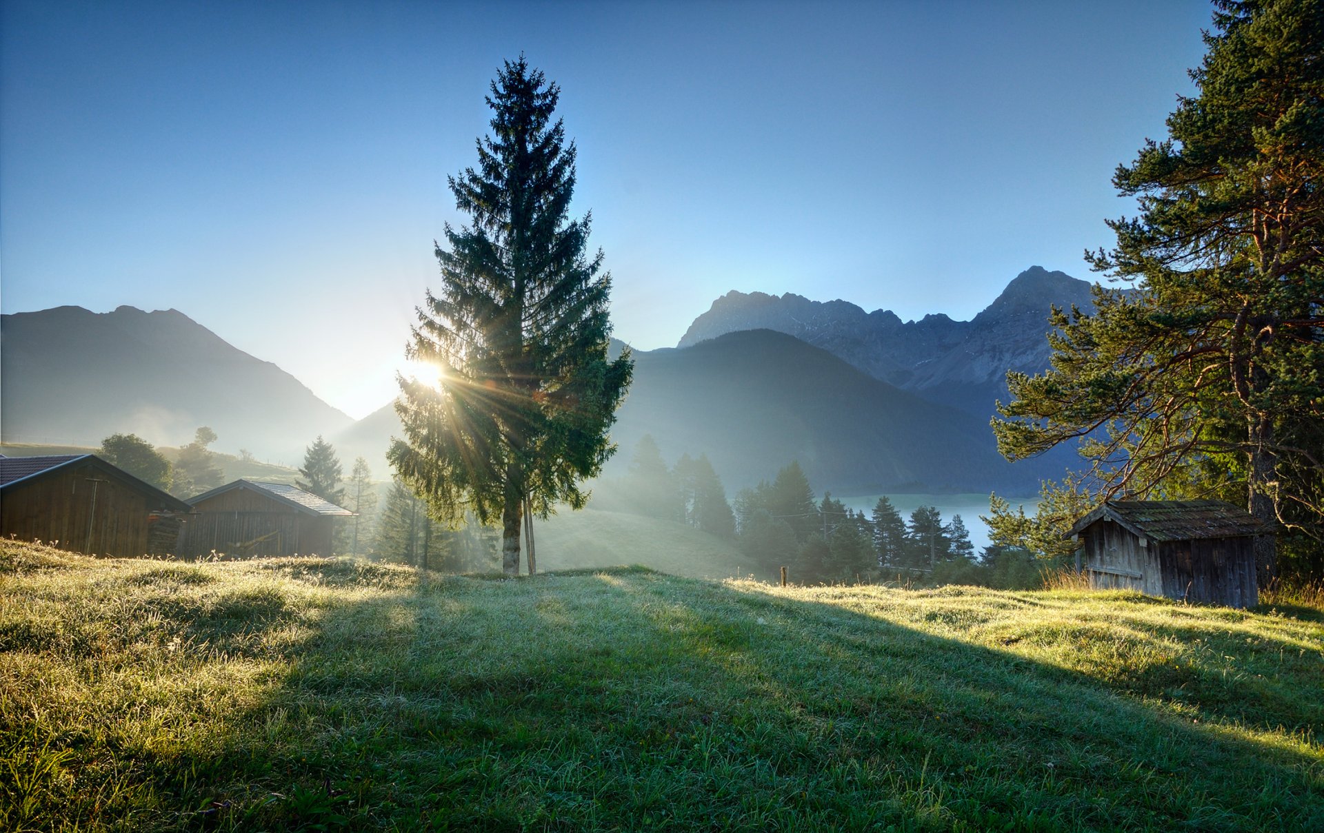 dorf morgendämmerung morgen strahlen gras