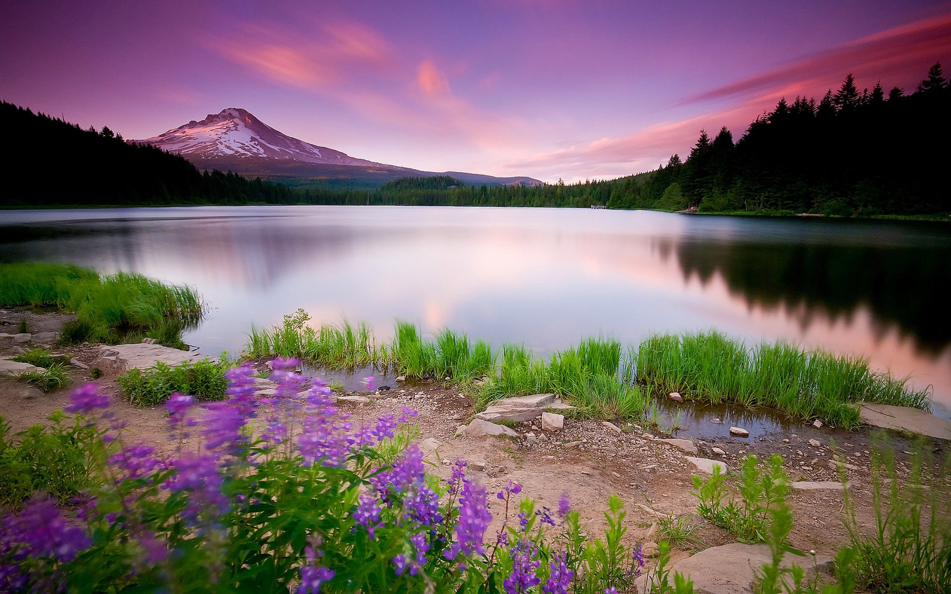 arbres nature paysage lac fleurs chemin ciel nuages coucher de soleil montagnes