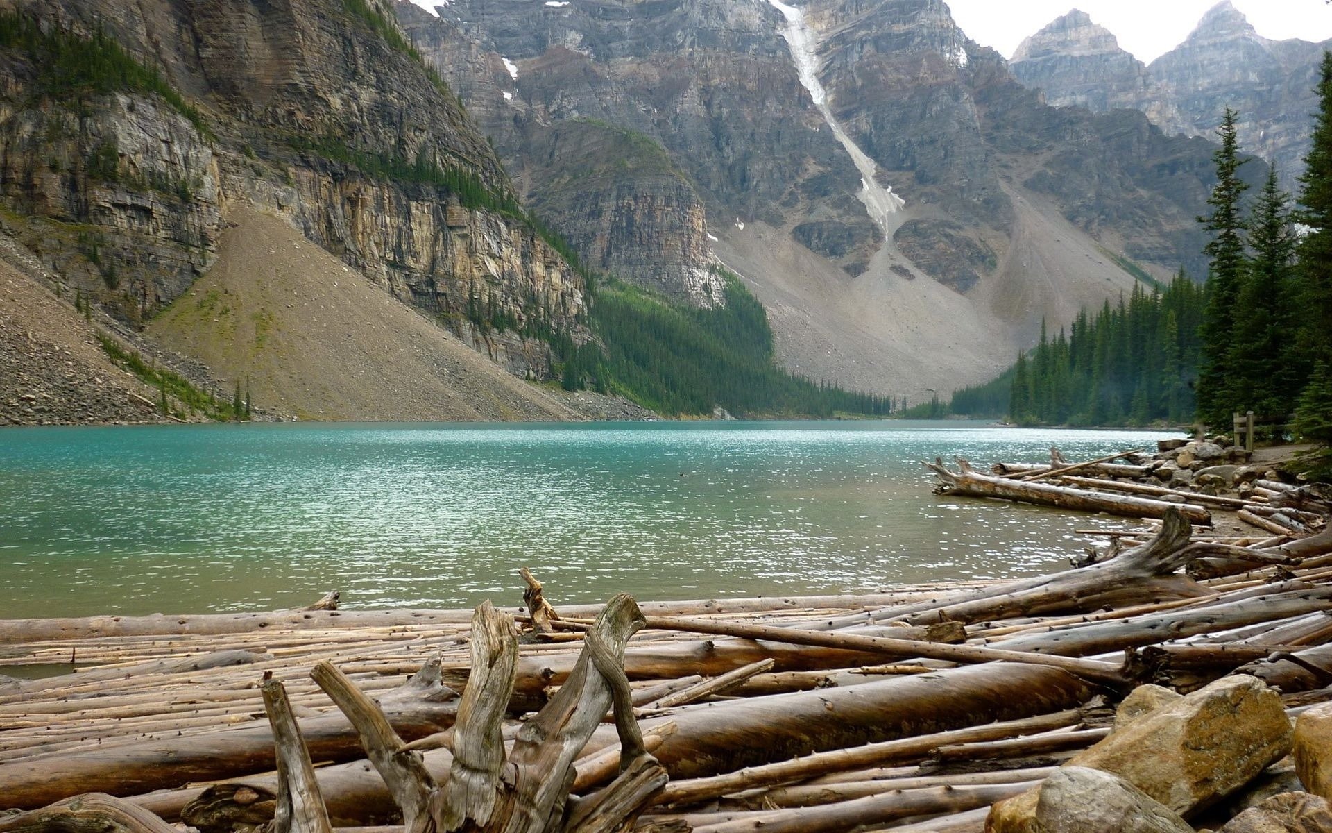 montagnes roches forêt rivière traversée abattage